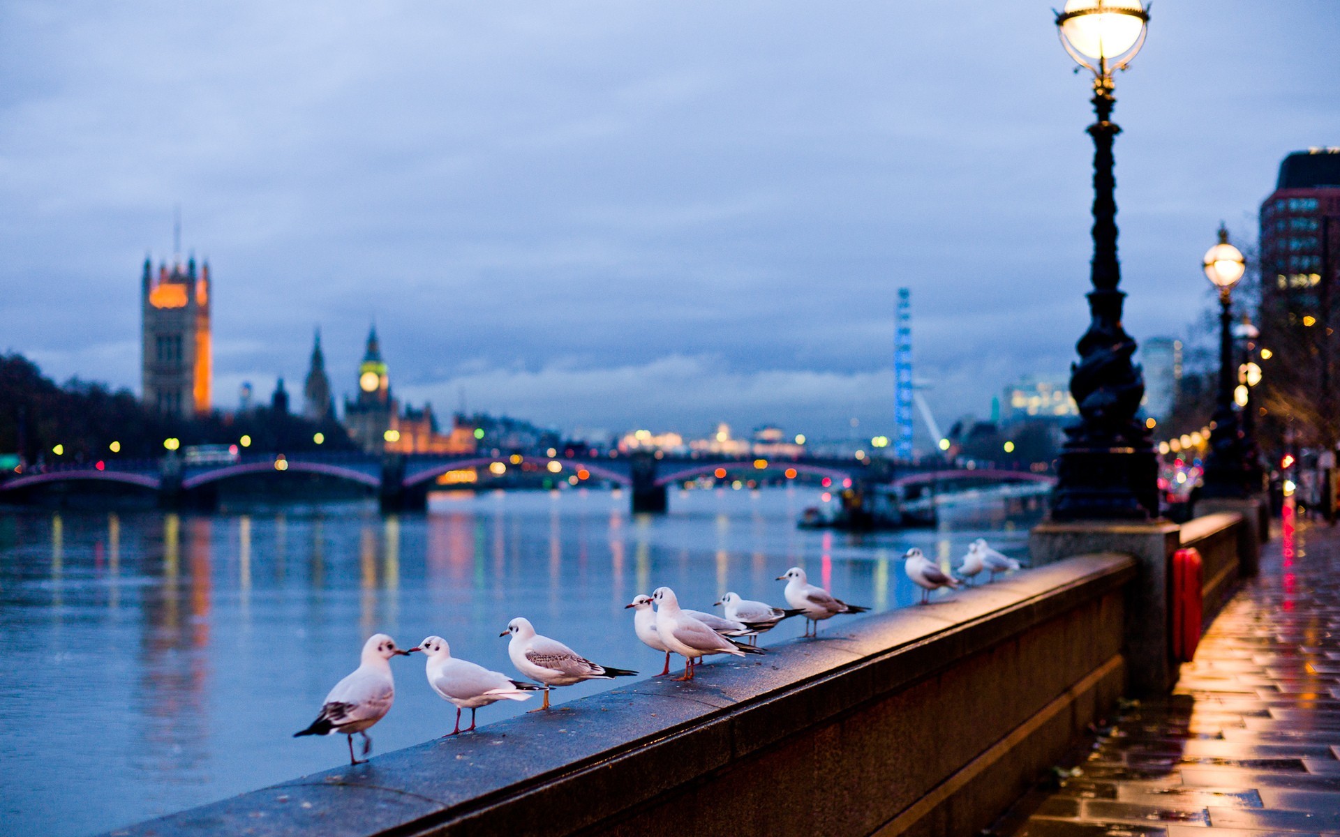 Tamigi, Gabbiani, Londra, Lampione, Sera, 1920x1200, sfondo MacBook Pro