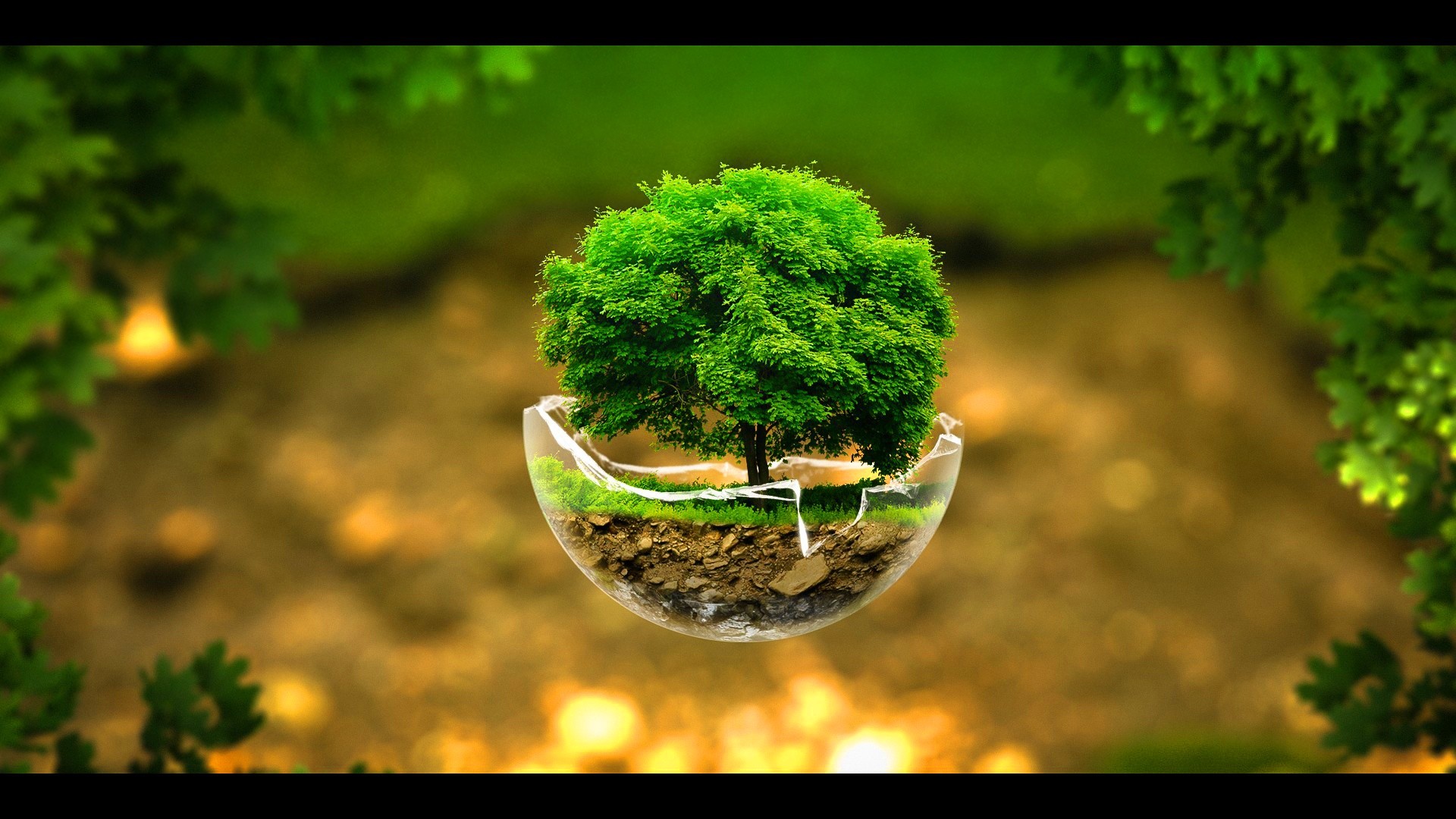 Albero, Uovo, Bokeh, Surreale, Full HD, sfondo per il tuo desktop
