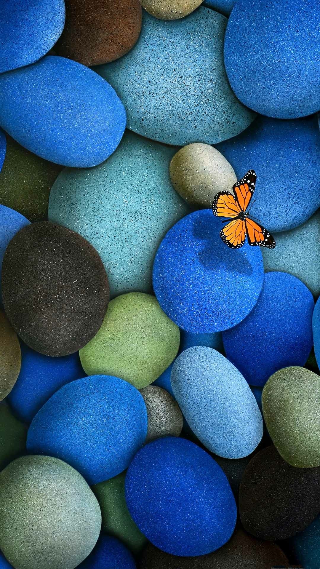 Ciottoli, Farfalla, Pietre blu, Primo piano, Natura, sfondo Galaxy S4 Full HD