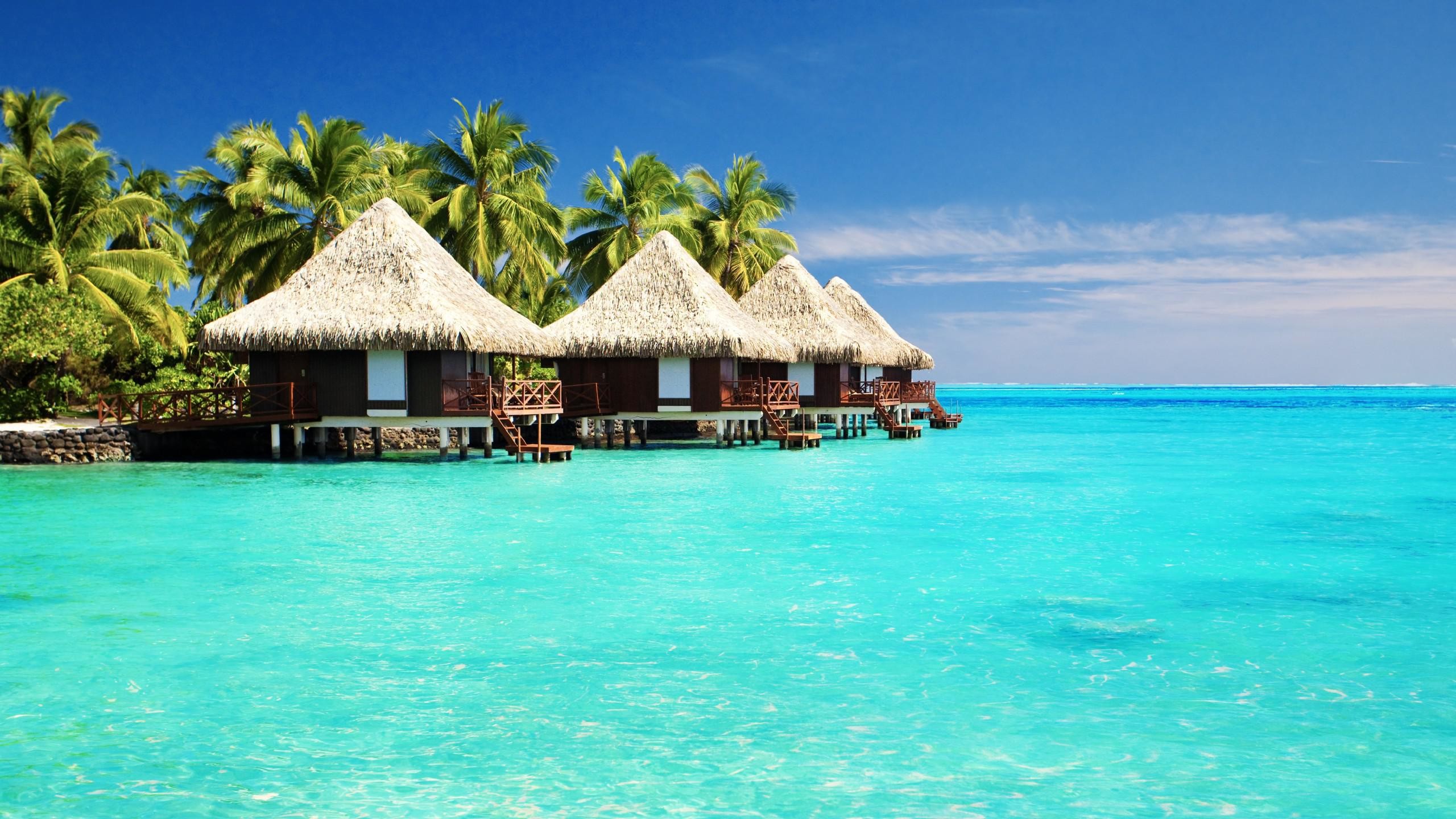 Bungalow sull'acqua, Palme, Mare turchese, Tropici, Polinesia, 2K, sfondo Windows 11