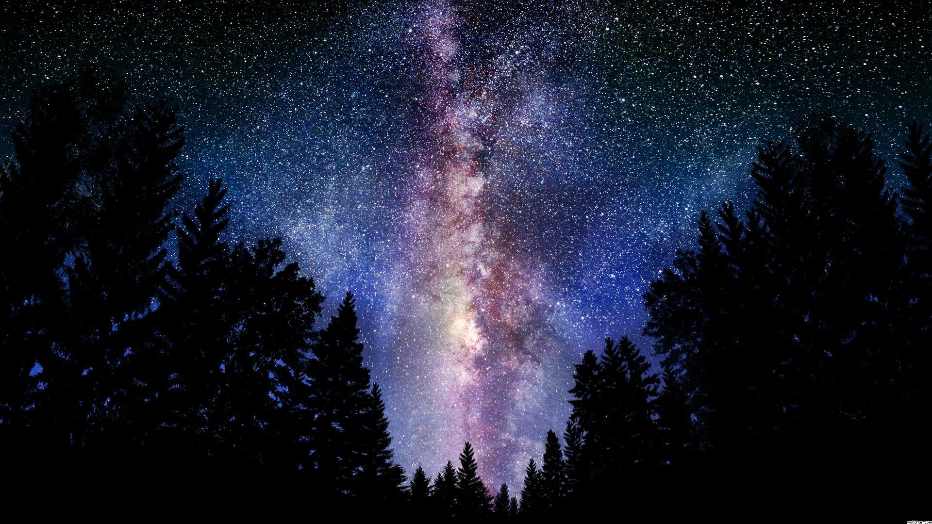 Via Lattea, Cielo stellato, Foresta, Notte, 16:9 Full HD, sfondo widescreen