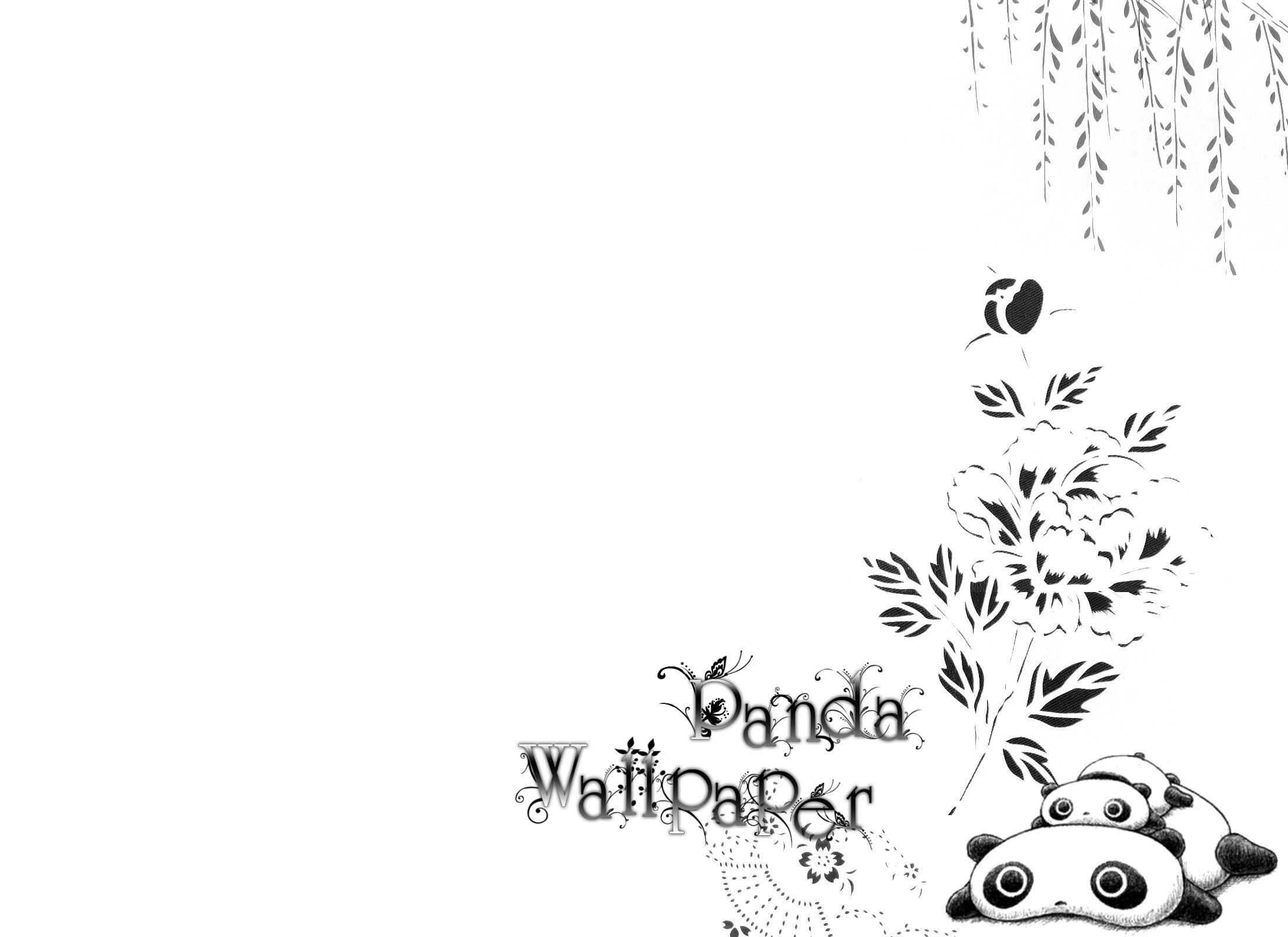 Panda, Fiori, Disegno, Sfondo bianco, Bianco e nero, Full HD, wallpaper per computer