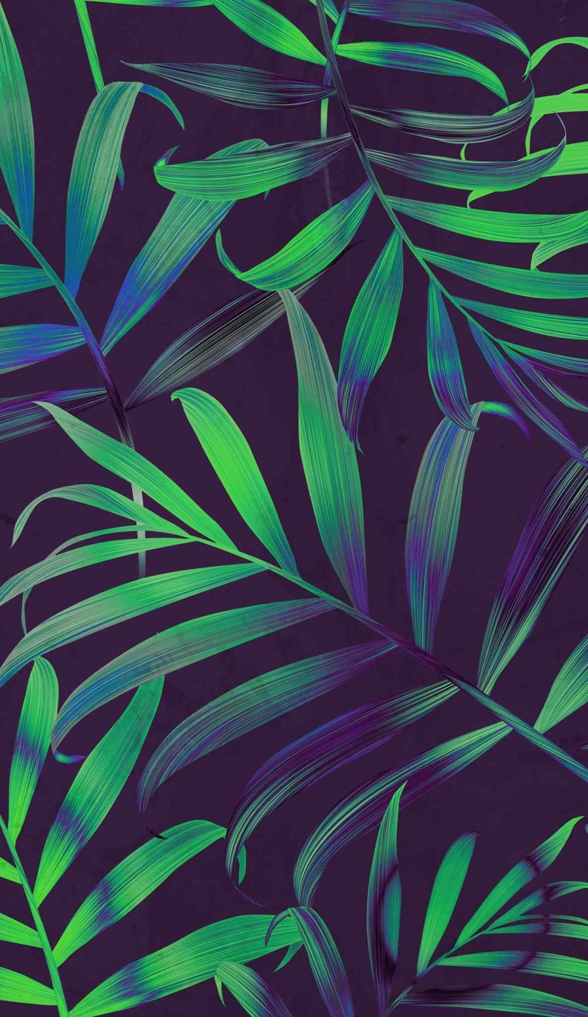 Foglie di palma, Tropicale, Verde, Viola, sfondo per iPhone e Android