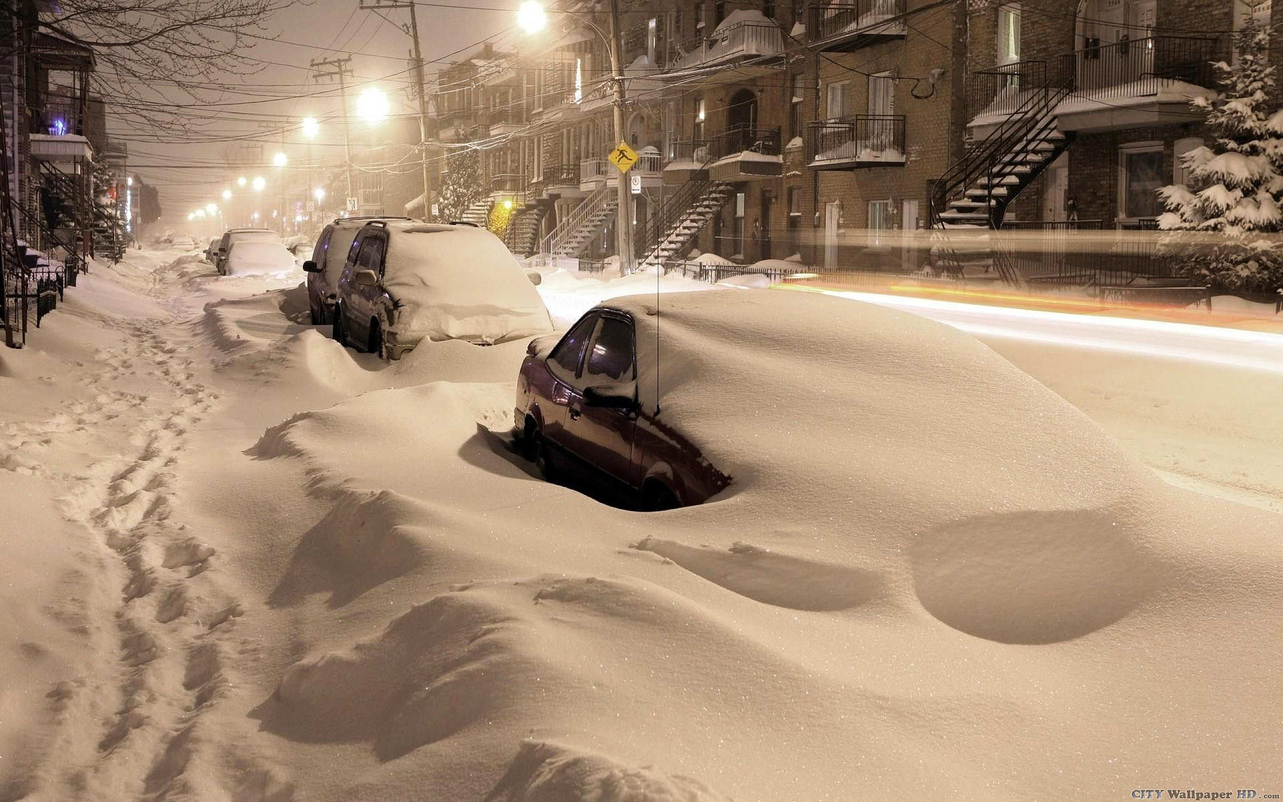 Bufera di neve, Strada, Auto sepolte, Notte, 2560x1600, sfondo per PC