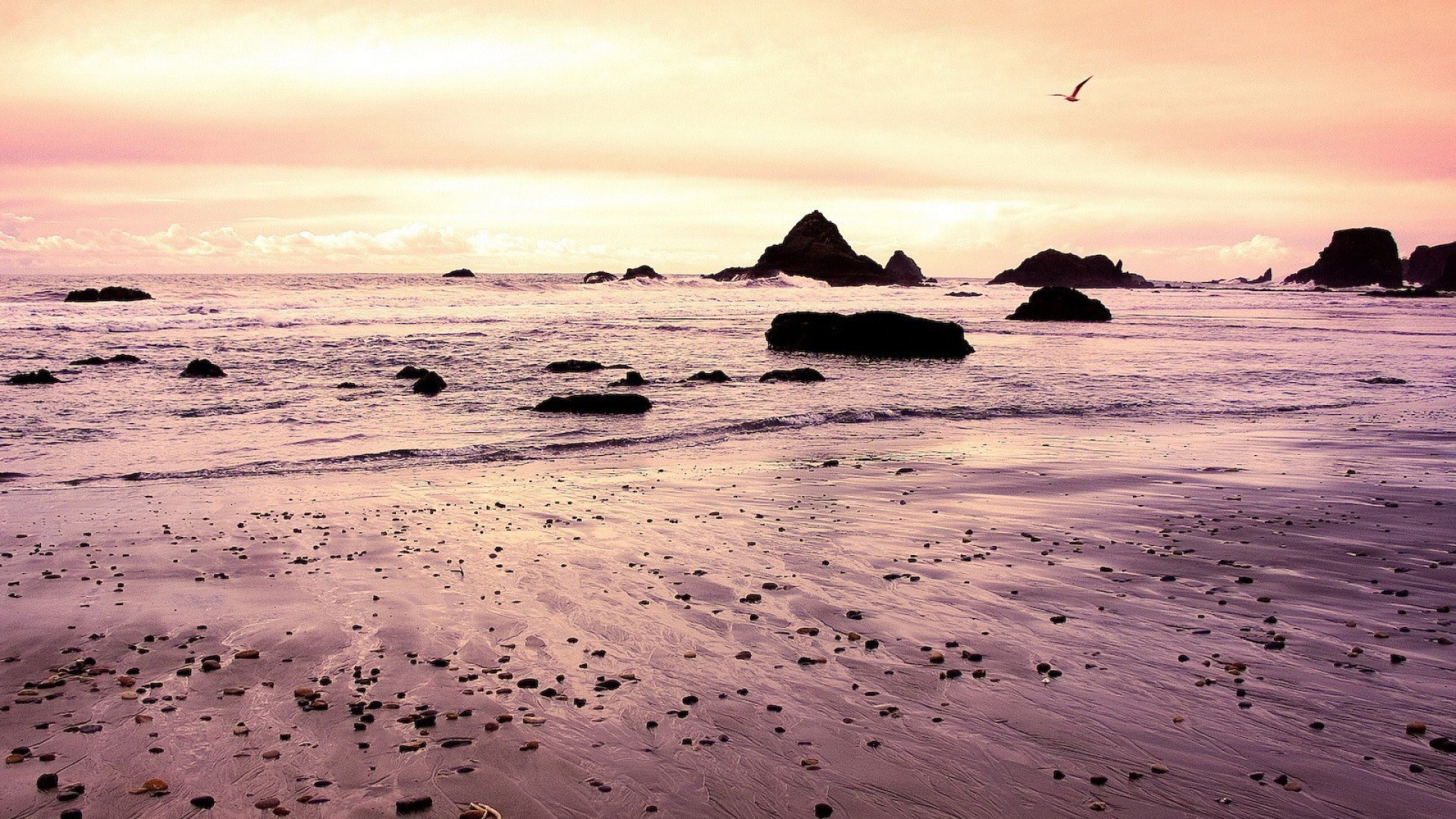 Spiaggia, Scogli, Cielo rosa, Tramonto, 16:9 Full HD, sfondo widescreen