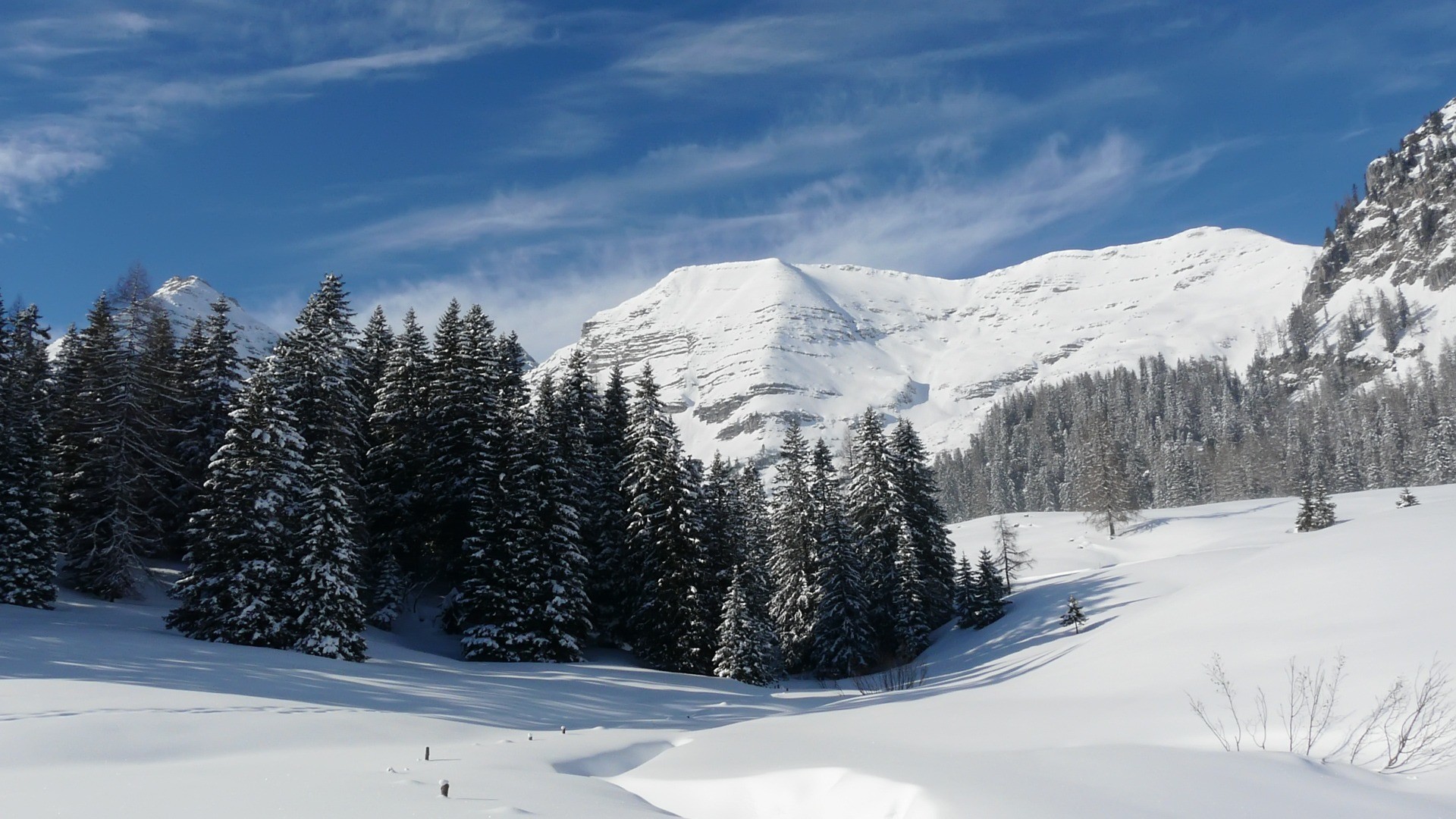 Montagne innevate, Abeti, Cielo azzurro, 1920x1080, sfondo per PC