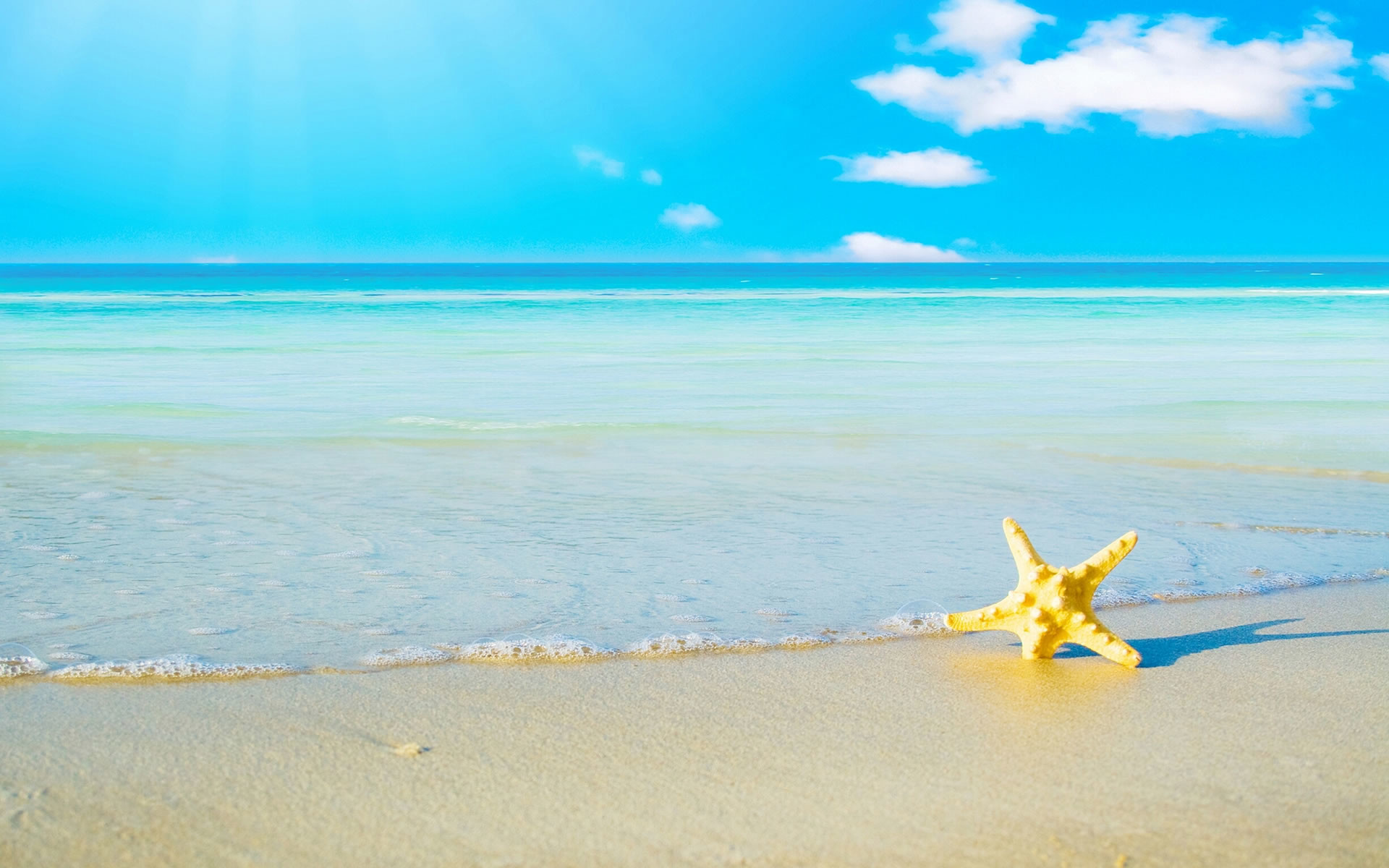 Mare, Spiaggia, Stella marina, Cielo azzurro, 16:10 Full HD, sfondo widescreen