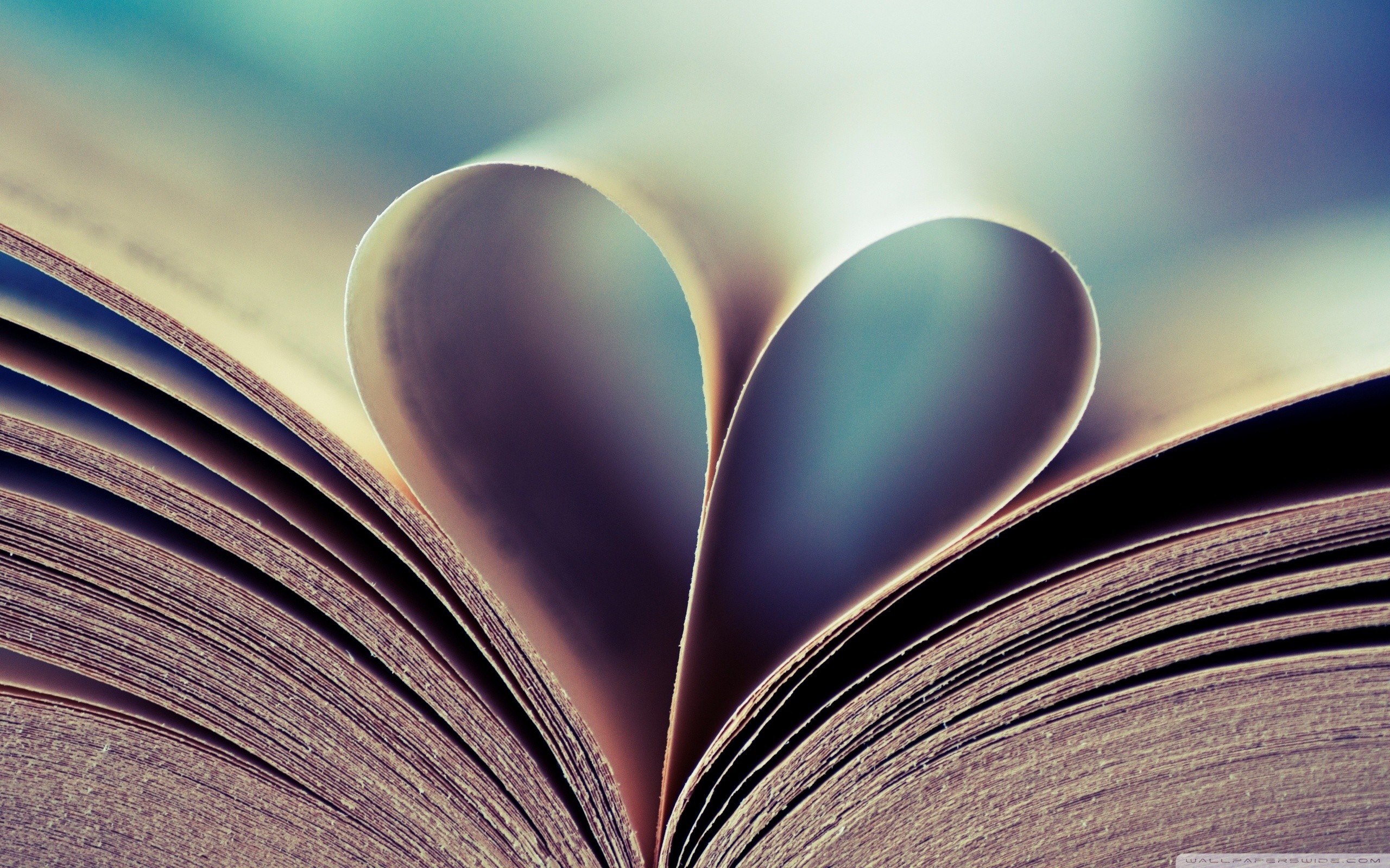 Cuore di pagine, Libro aperto, Amore per la lettura, 2K 1600p, sfondo desktop