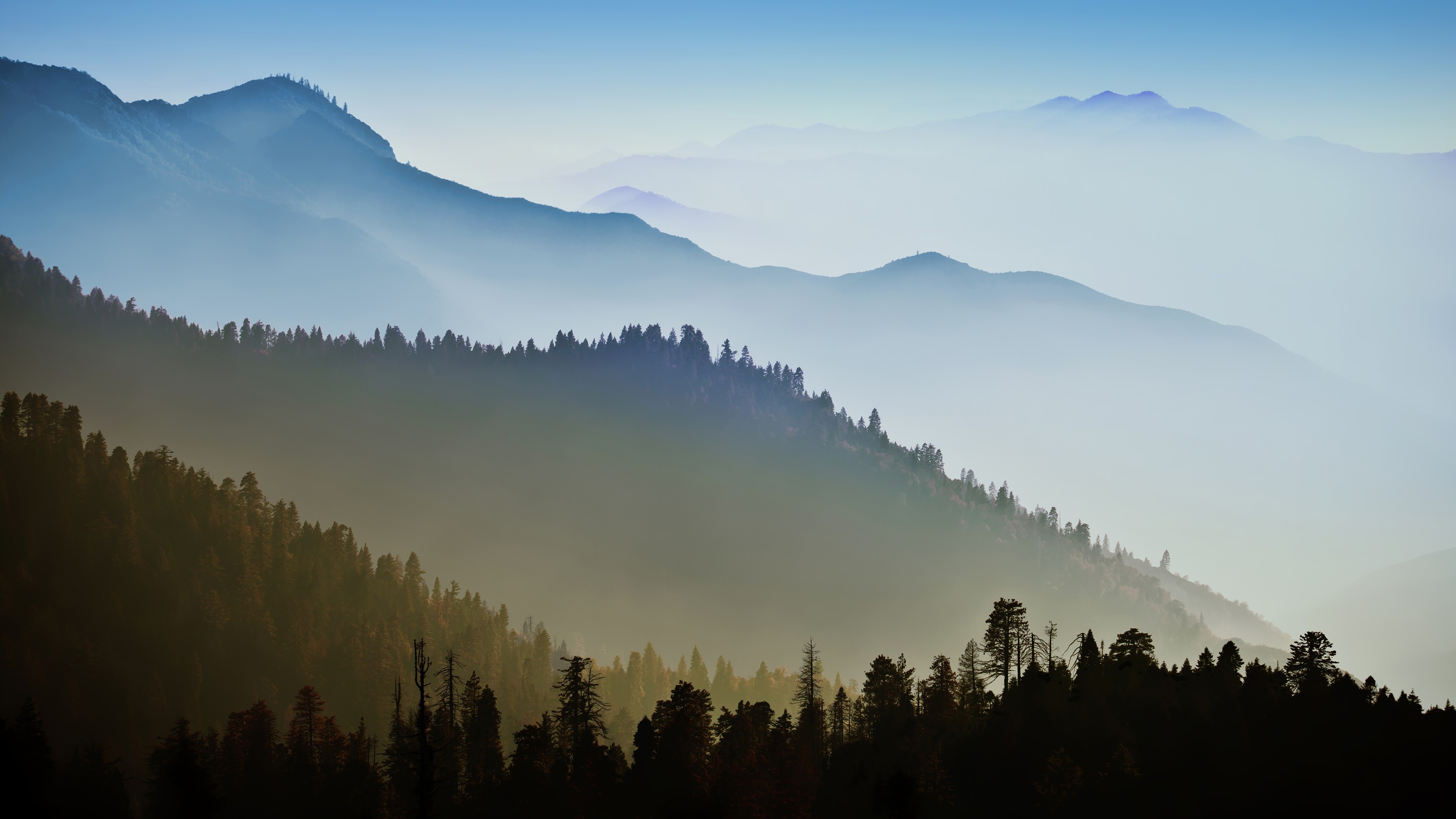 Montagne, Foschia, Bosco, Silhouette, Blu, sfondo Mac 4K