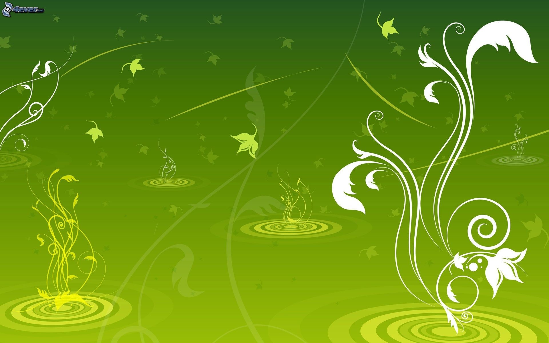 Motivo floreale, Foglie, Verde lime, Illustrazione, 16:10 Full HD, sfondo widescreen