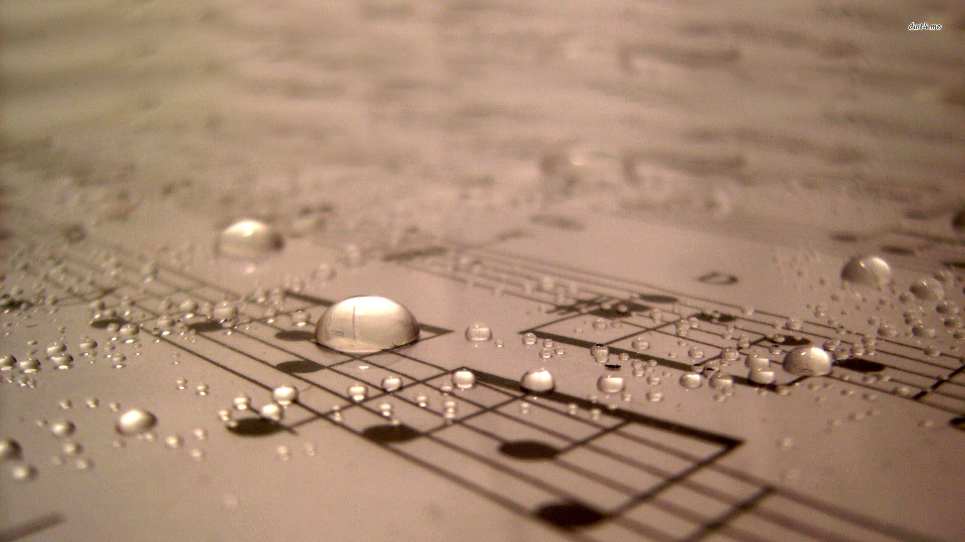 Spartito, Gocce d'acqua, Note musicali, Macro, 1920x1080, sfondo per PC