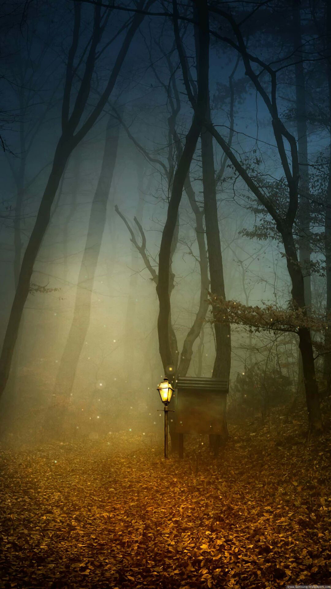 Foresta, Nebbia, Lanterna, Autunno, Mistero, Full HD, schermata di blocco Galaxy S5