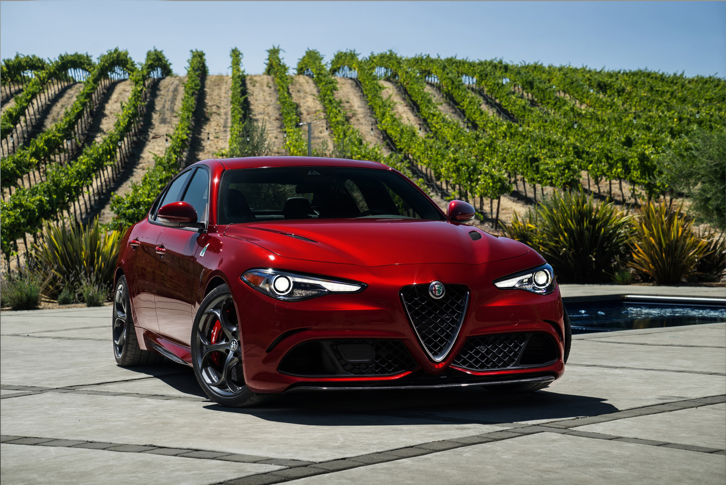 Alfa Romeo Giulia Quadrifoglio, Rosso, Vigneto, Full HD, sfondo Windows 11