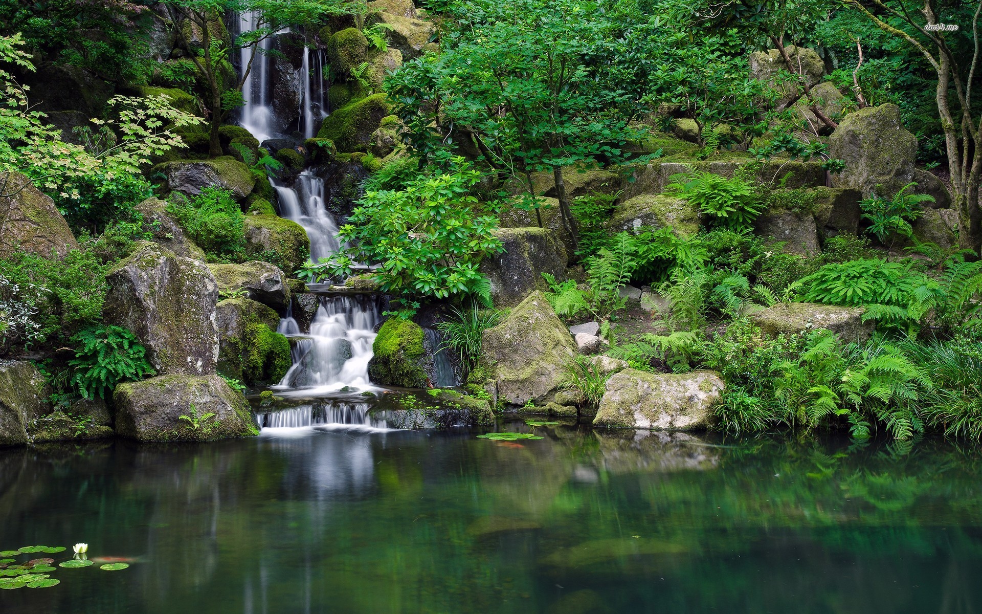 Cascata, Giardino, Laghetto, Rocce, Full HD, sfondo Windows 11