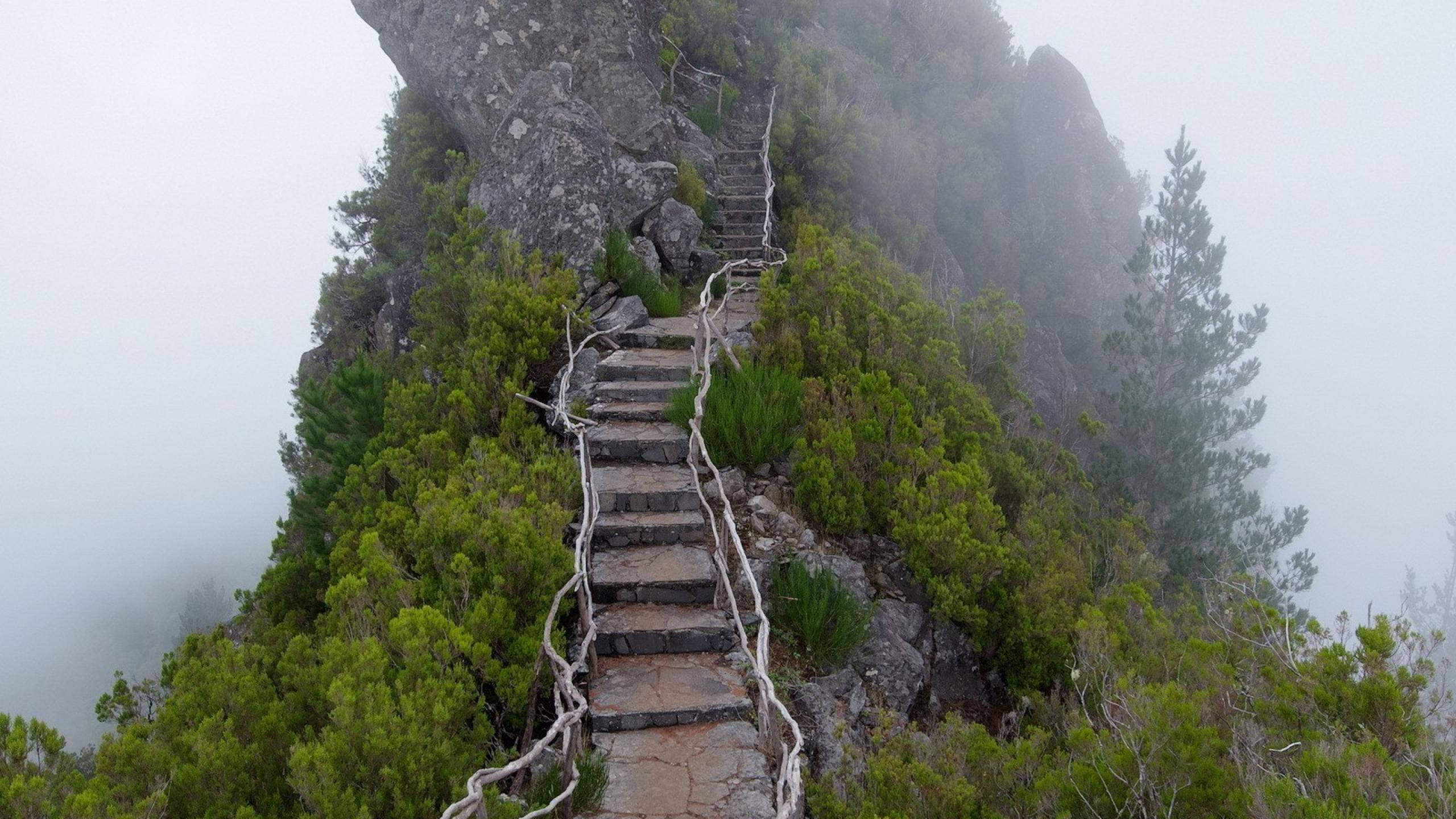 Sentiero a gradini, Montagna, Nebbia, Madeira, 2K, sfondo per portatile