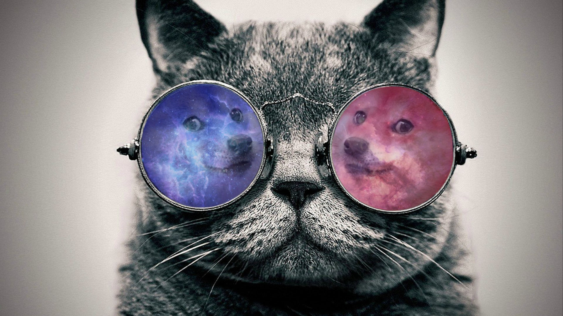 Gatto con occhiali, Doge, Galassia, Bianco e nero, Full HD, sfondo per PC e portatile