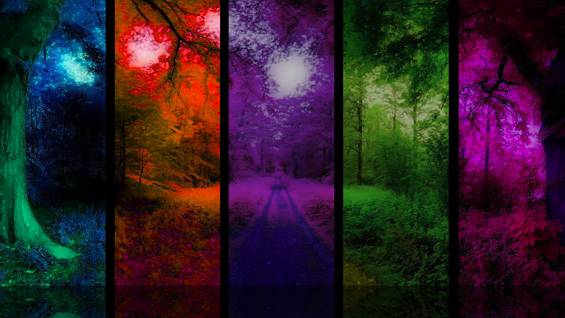Foresta, Collage, Colori dell'arcobaleno, Alberi, Natura, Full HD, sfondo per PC e portatile