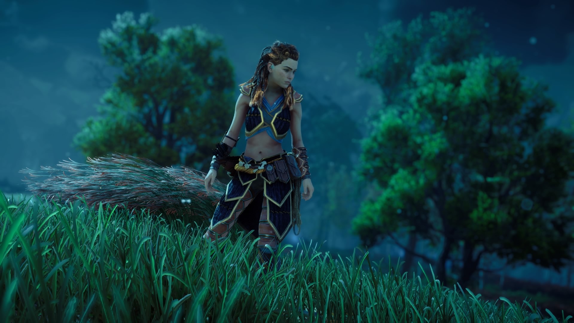 Aloy, Horizon Zero Dawn, Notte, Erba, Full HD, sfondo desktop