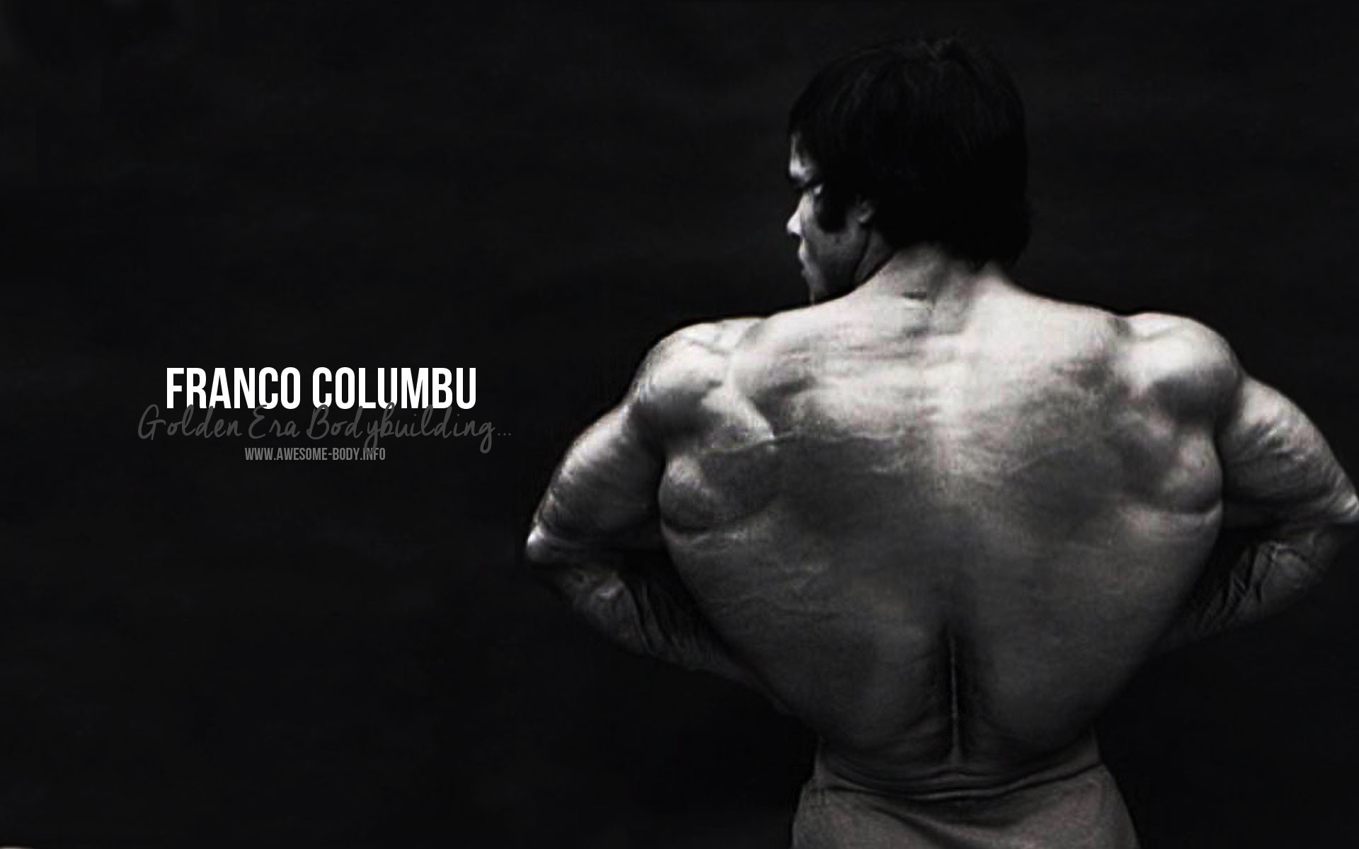 Franco Columbu, Schiena, Culturismo, Bianco e nero, 1920x1200, immagine di sfondo