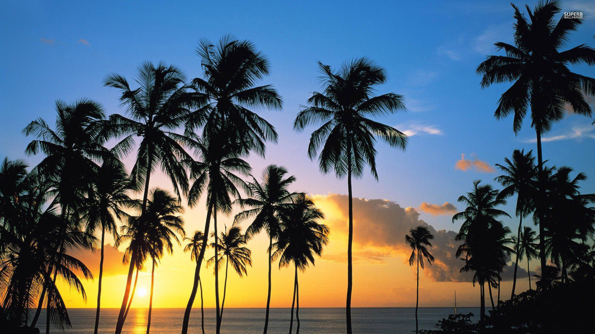 Palme, Silhouette, Tramonto, Oceano, 1920x1080, wallpaper desktop