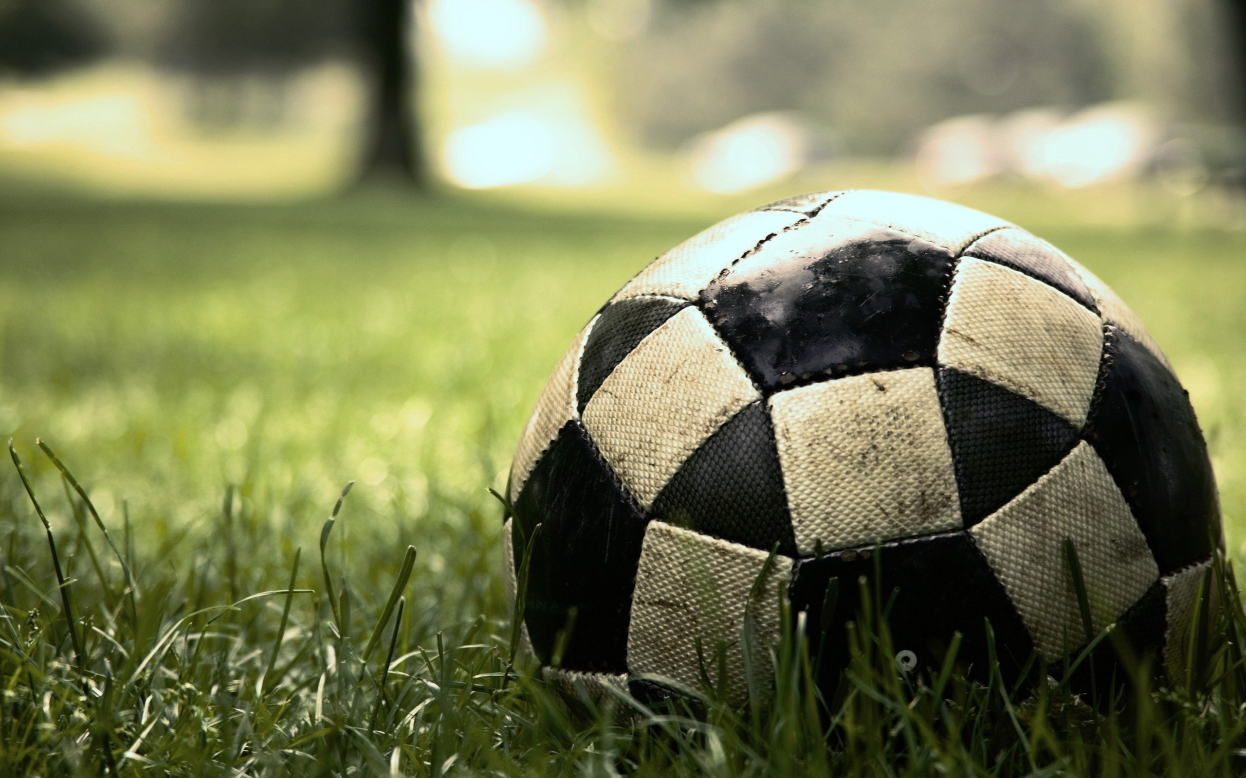 Pallone vecchio, Erba, Primo piano, Bokeh, 2560x1600, immagine di sfondo