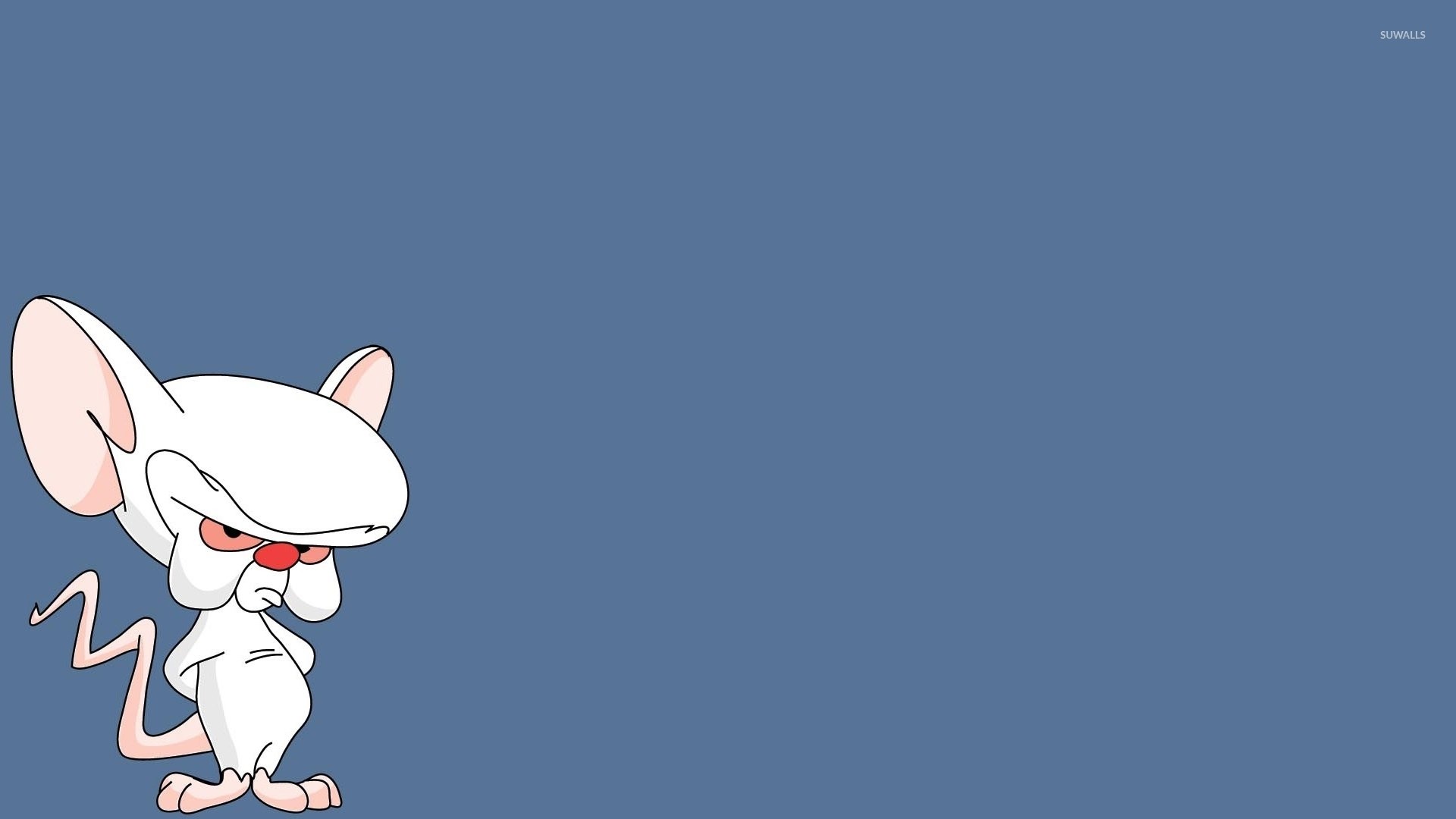 Prof. (Pinky and the Brain), Mignolo e Prof., Topo, Cartone animato, Sfondo blu, wallpaper Full HD