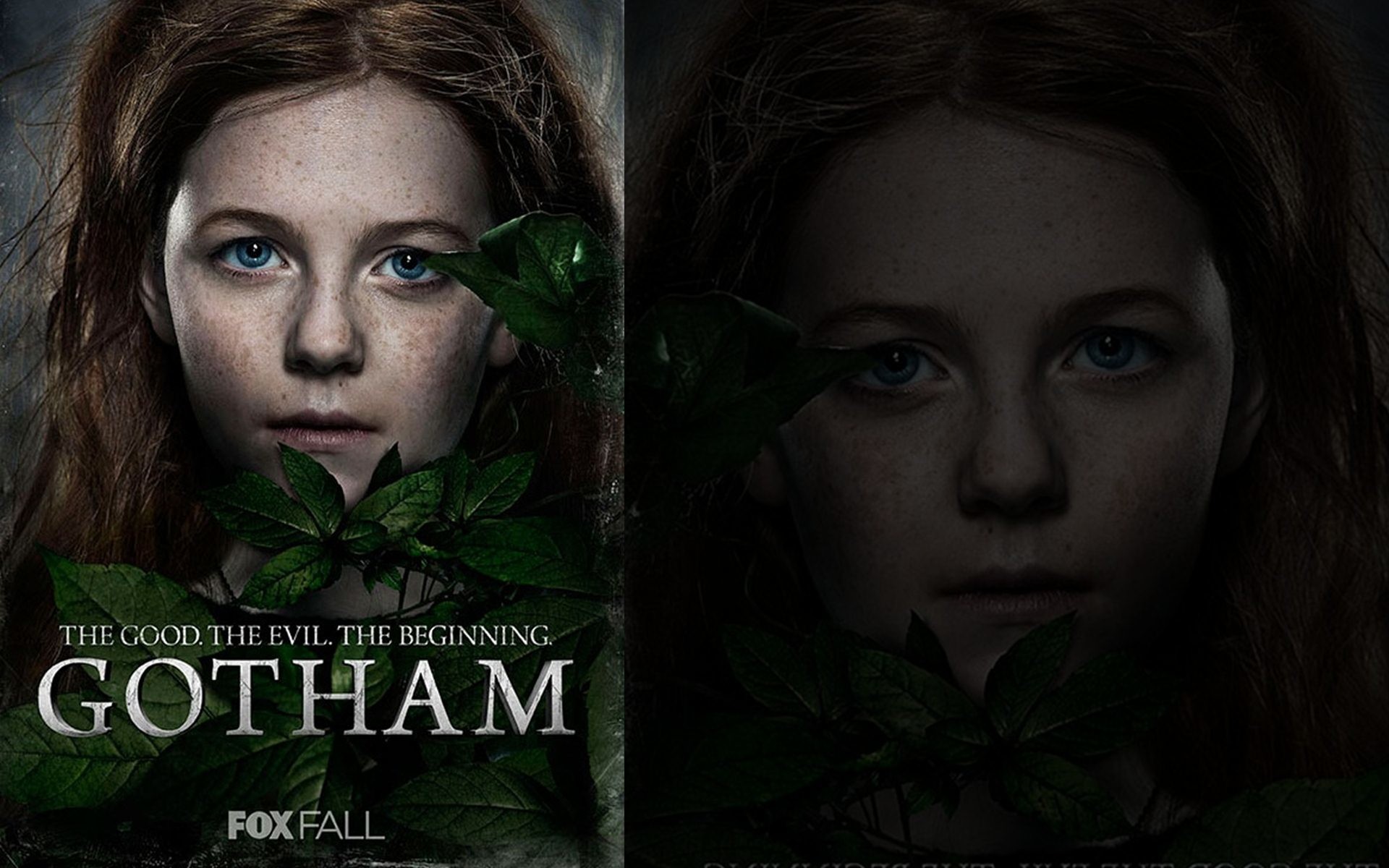 Gotham, Ivy Pepper, Clare Foley, Foglie, Poster, 16:10 Full HD, sfondo widescreen