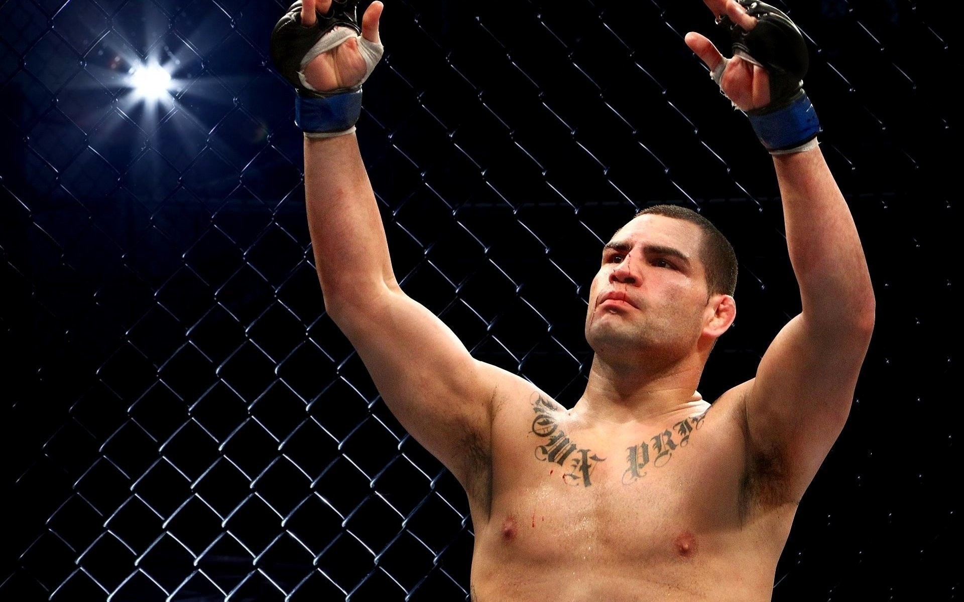 Cain Velasquez, UFC, Vittoria, Gabbia, Tatuaggi, 1920x1200, immagine di sfondo