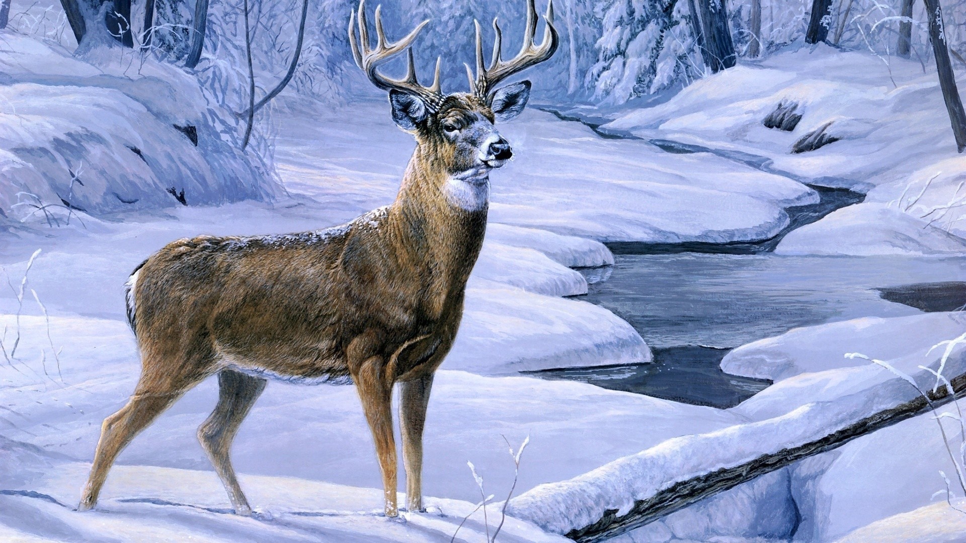Cervo dalla coda bianca, Neve, Torrente, Dipinto, Inverno, Full HD, sfondo per PC e portatile