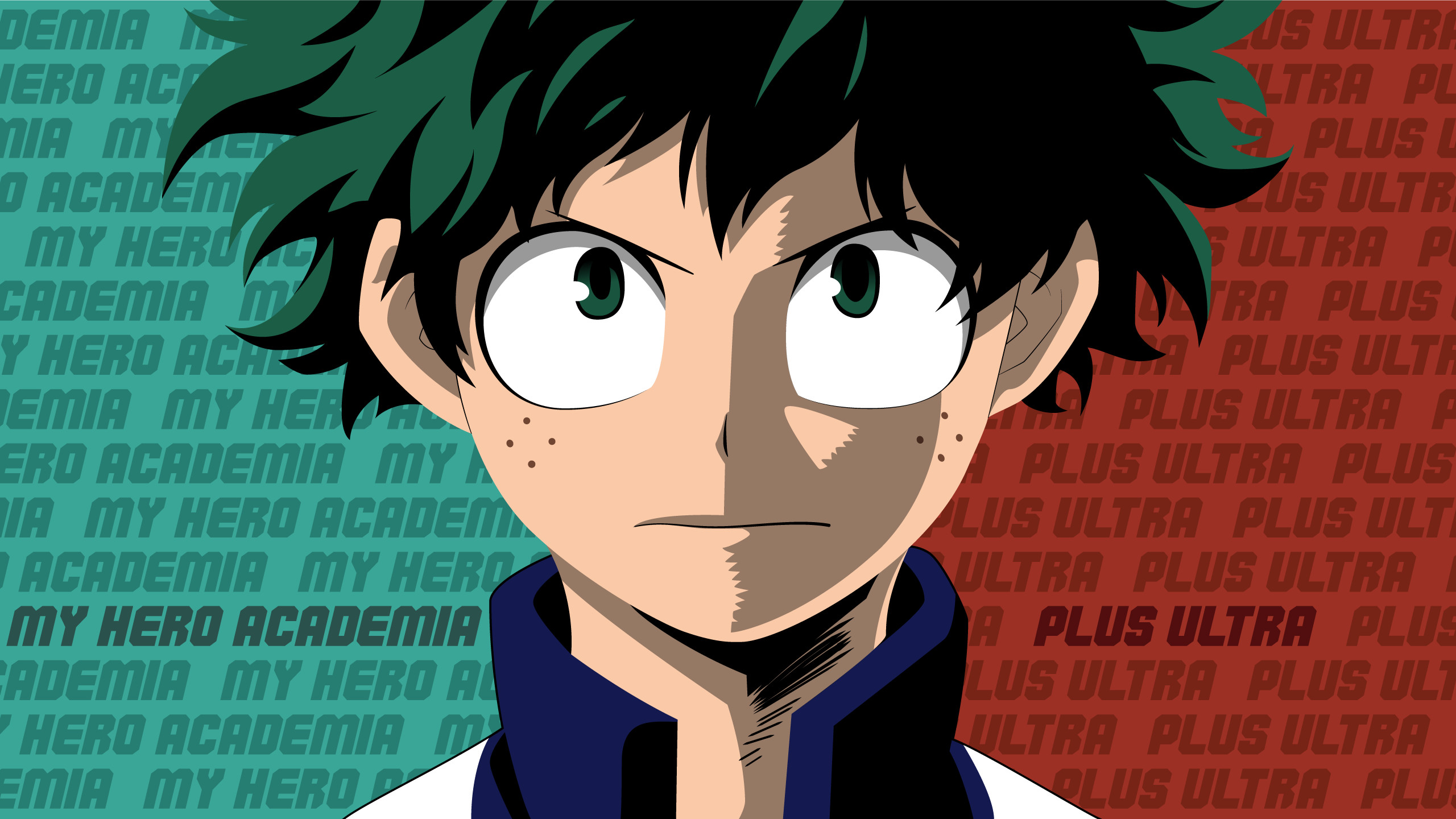 Izuku Midoriya, My Hero Academia, Plus Ultra, Primo piano, Tipografia, sfondo 2K per portatile