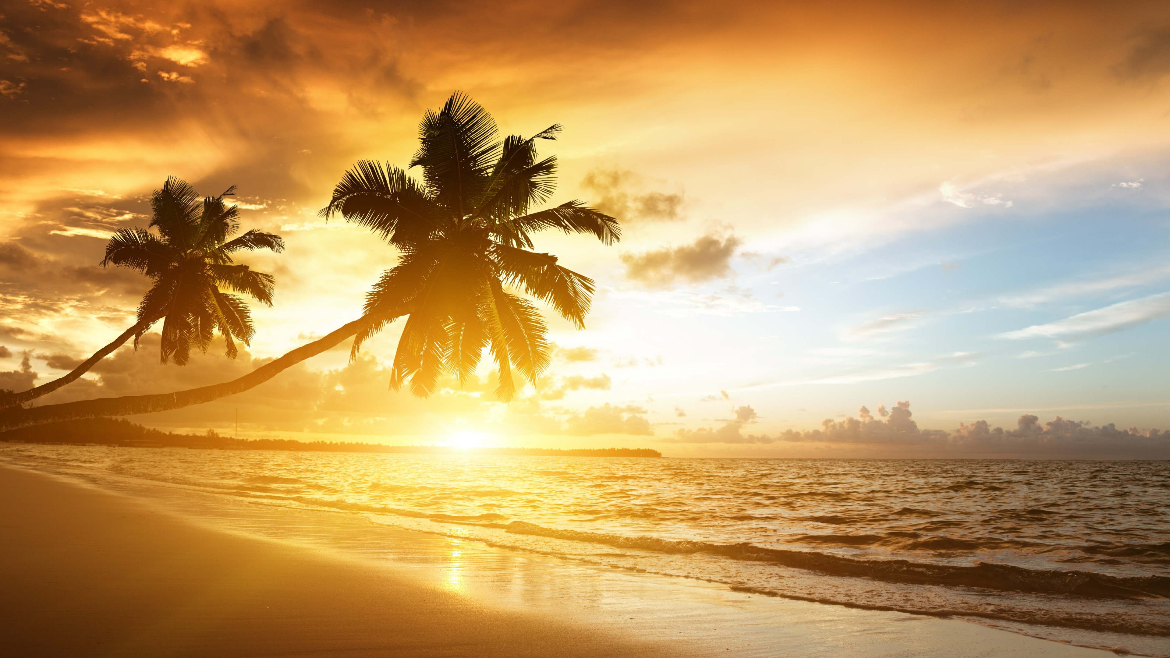 India, Spiaggia, Palme, Tramonto, 4K 2160p, sfondo desktop