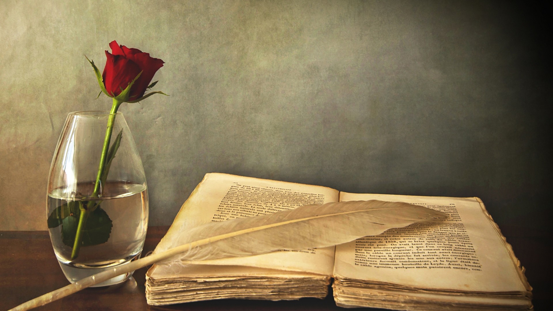 Libro antico, Rosa rossa, Penna d'oca, Vaso, Full HD, sfondo per portatile