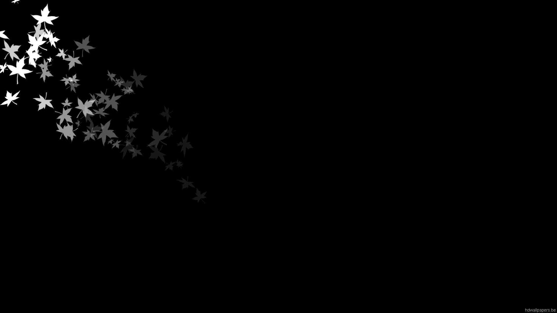 Foglie, Stelle, Minimalismo, Sfondo nero, Full HD, wallpaper per computer