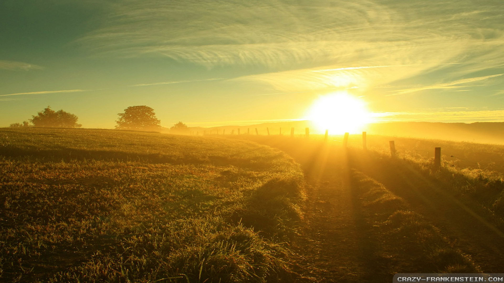 Sole, Alba, Campo, Raggi di sole, 16:9 Full HD, sfondo widescreen