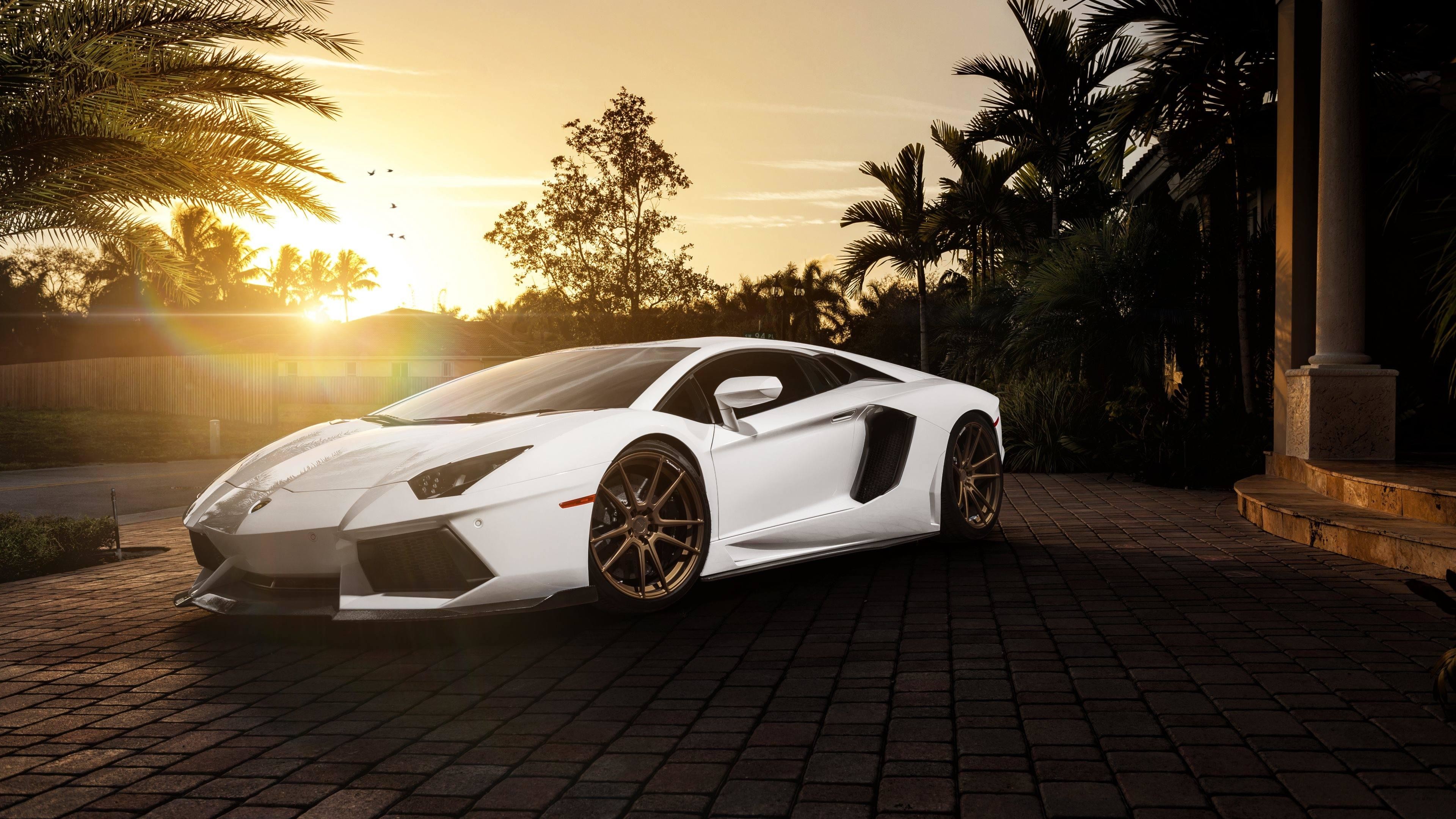 Lamborghini Aventador, Lamborghini, Supercar, Palme, 4K, sfondo per PC