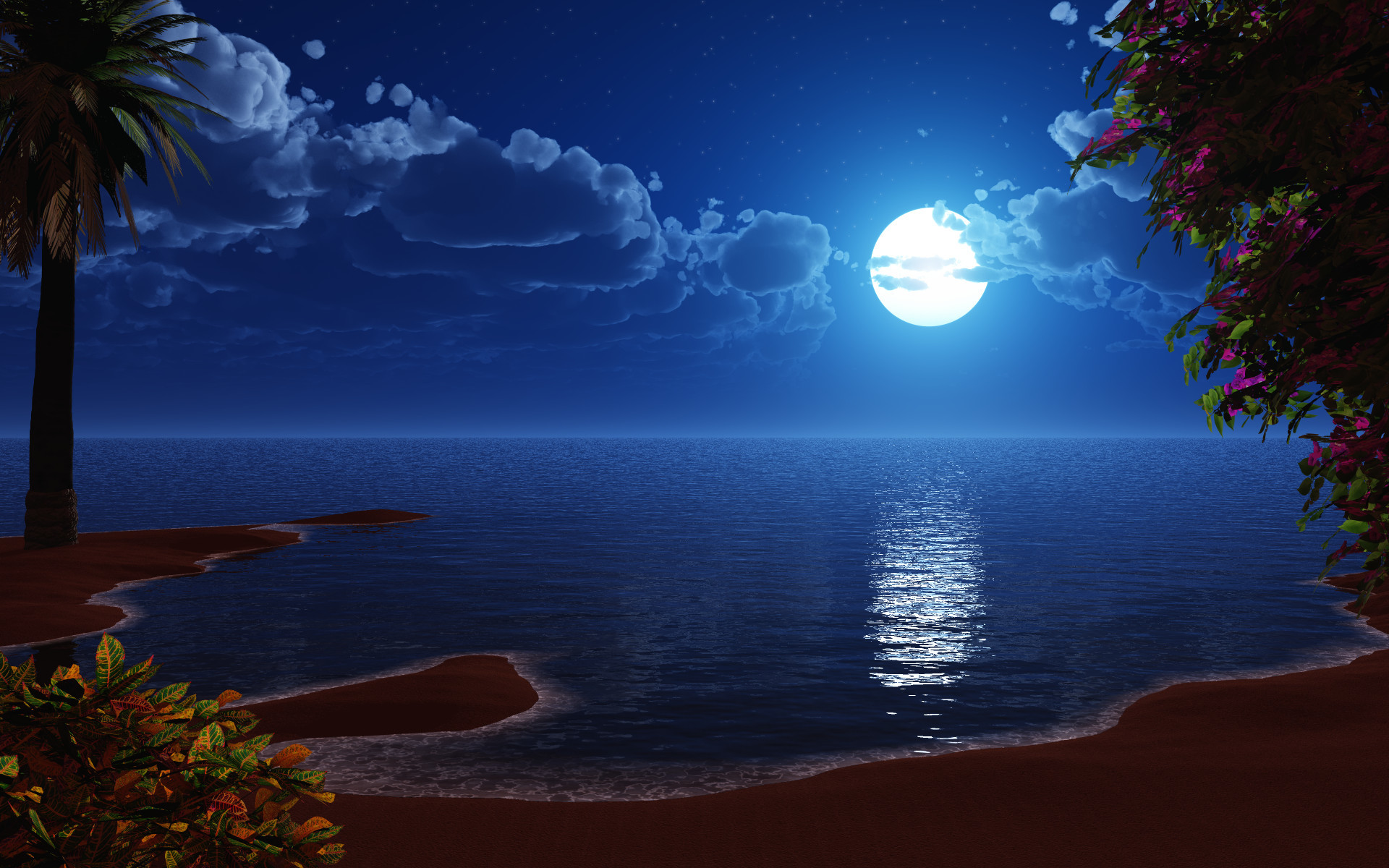 Luna piena, Spiaggia, Mare, Palma, Notte, 16:10 Full HD, sfondo widescreen