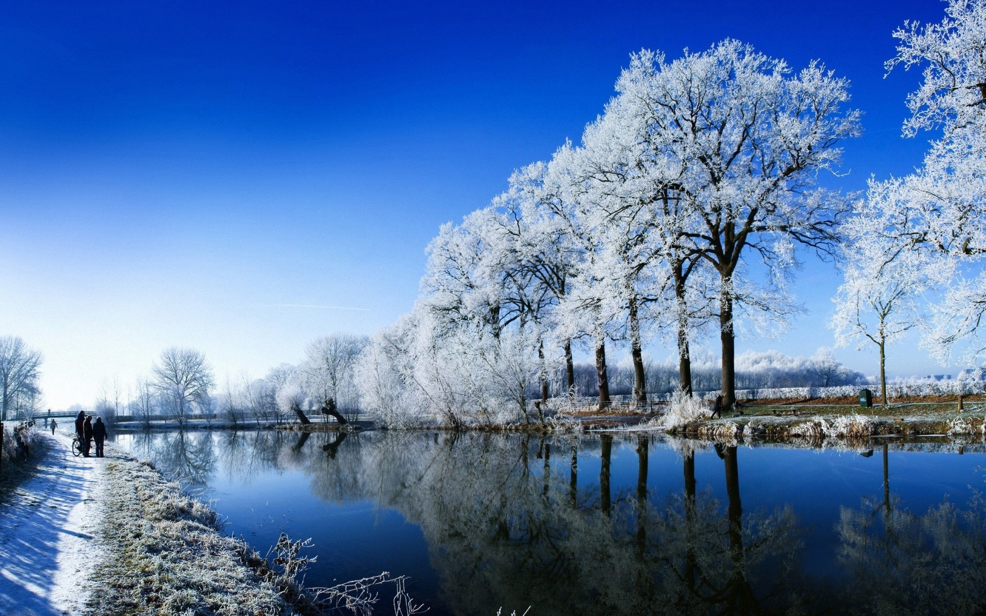 Inverno, Alberi brinati, Fiume, Cielo blu, 1920x1200, wallpaper desktop