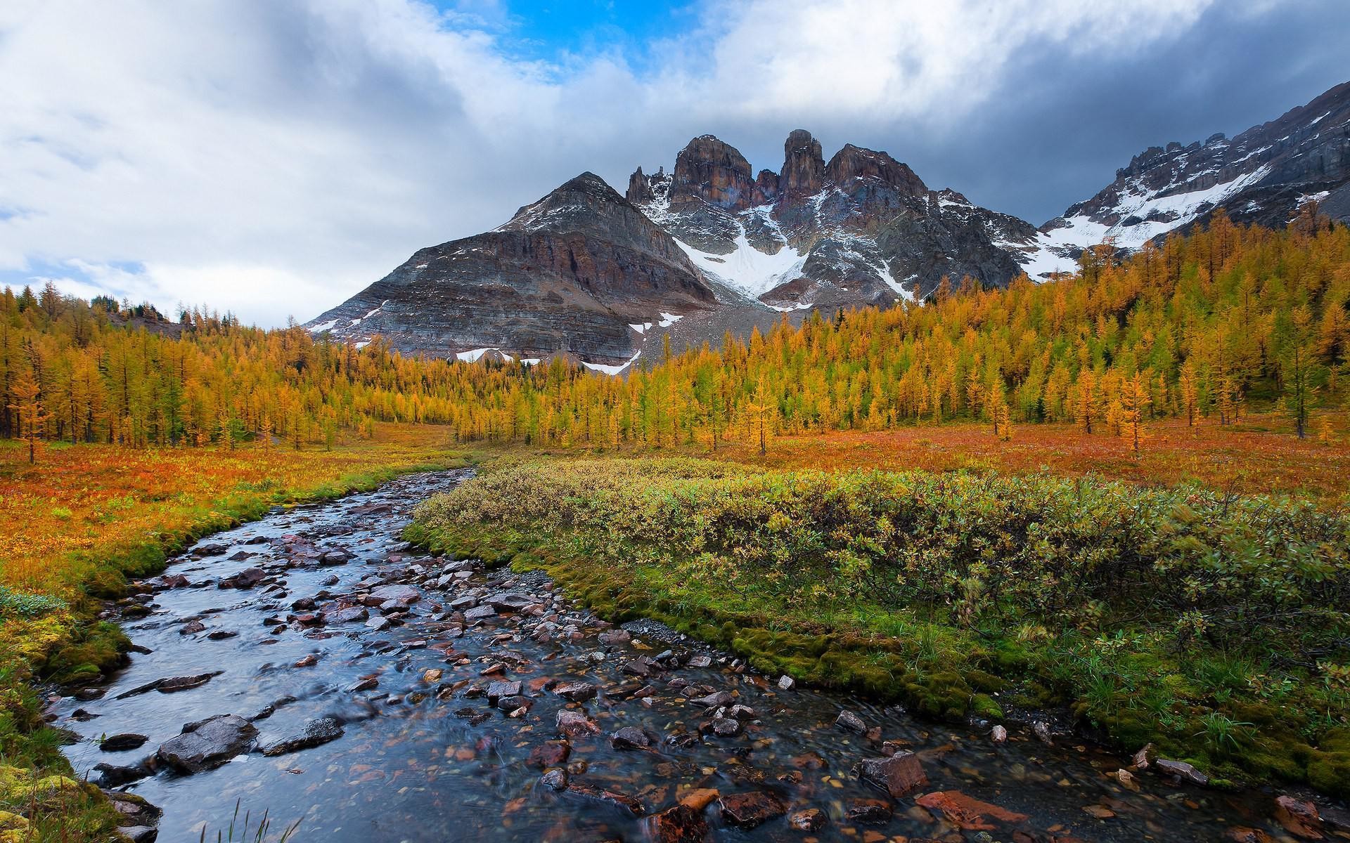 Montagne, Ruscello, Autunno, Larici, 1920x1200, sfondo MacBook Pro