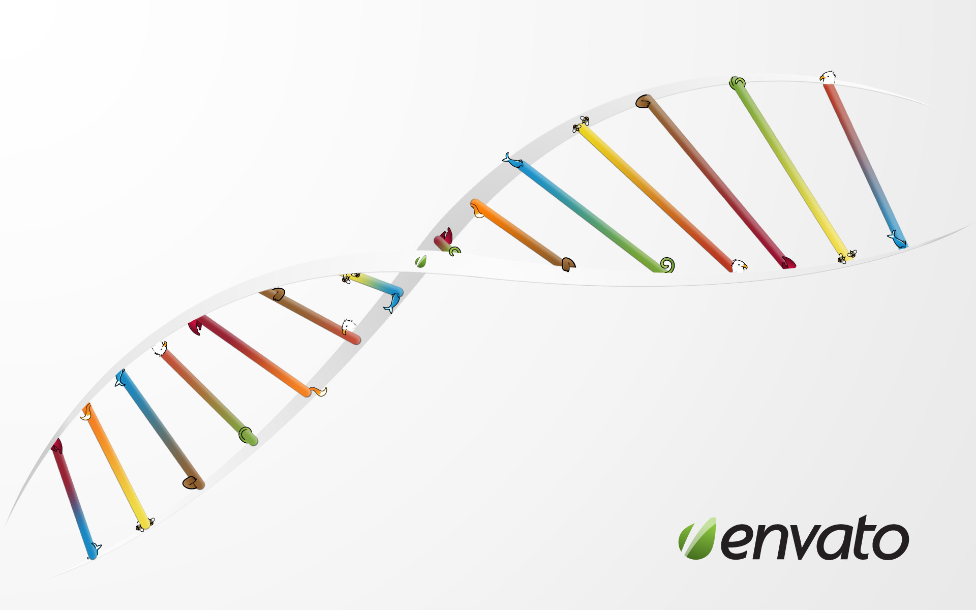 DNA, Doppia elica, Colori, Sfondo bianco, 1920x1200, wallpaper desktop