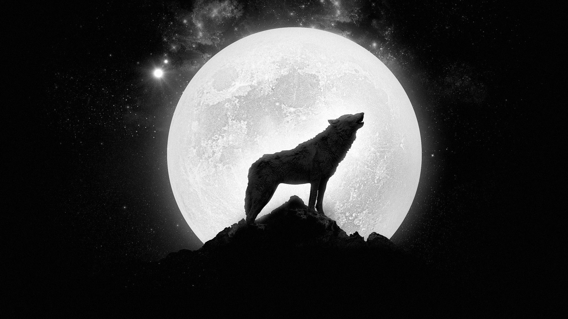 Lupo, Ululato, Luna piena, Silhouette, Full HD 1080p, sfondo desktop