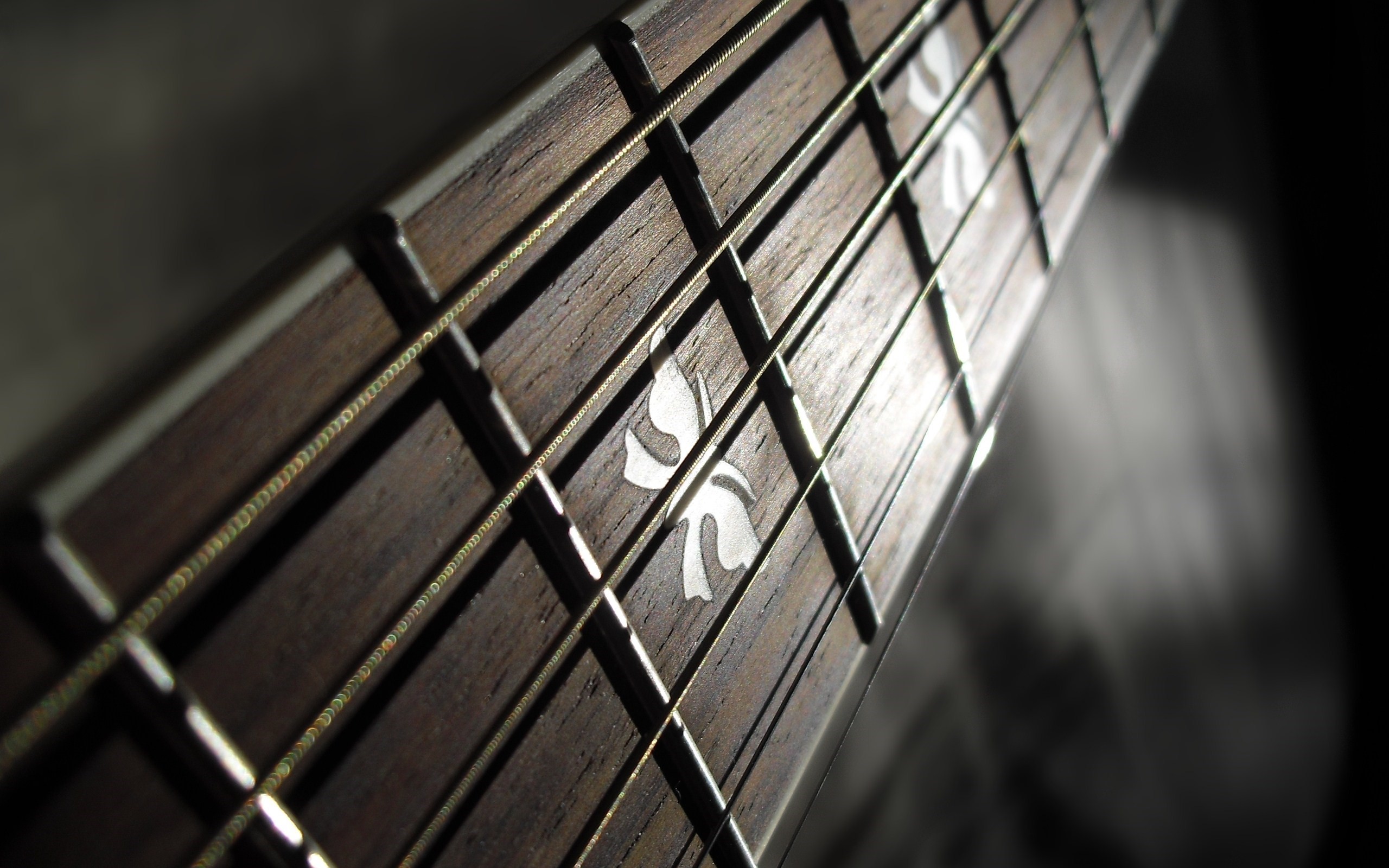 Chitarra, Corde, Manico, Macro, 2K, sfondo desktop