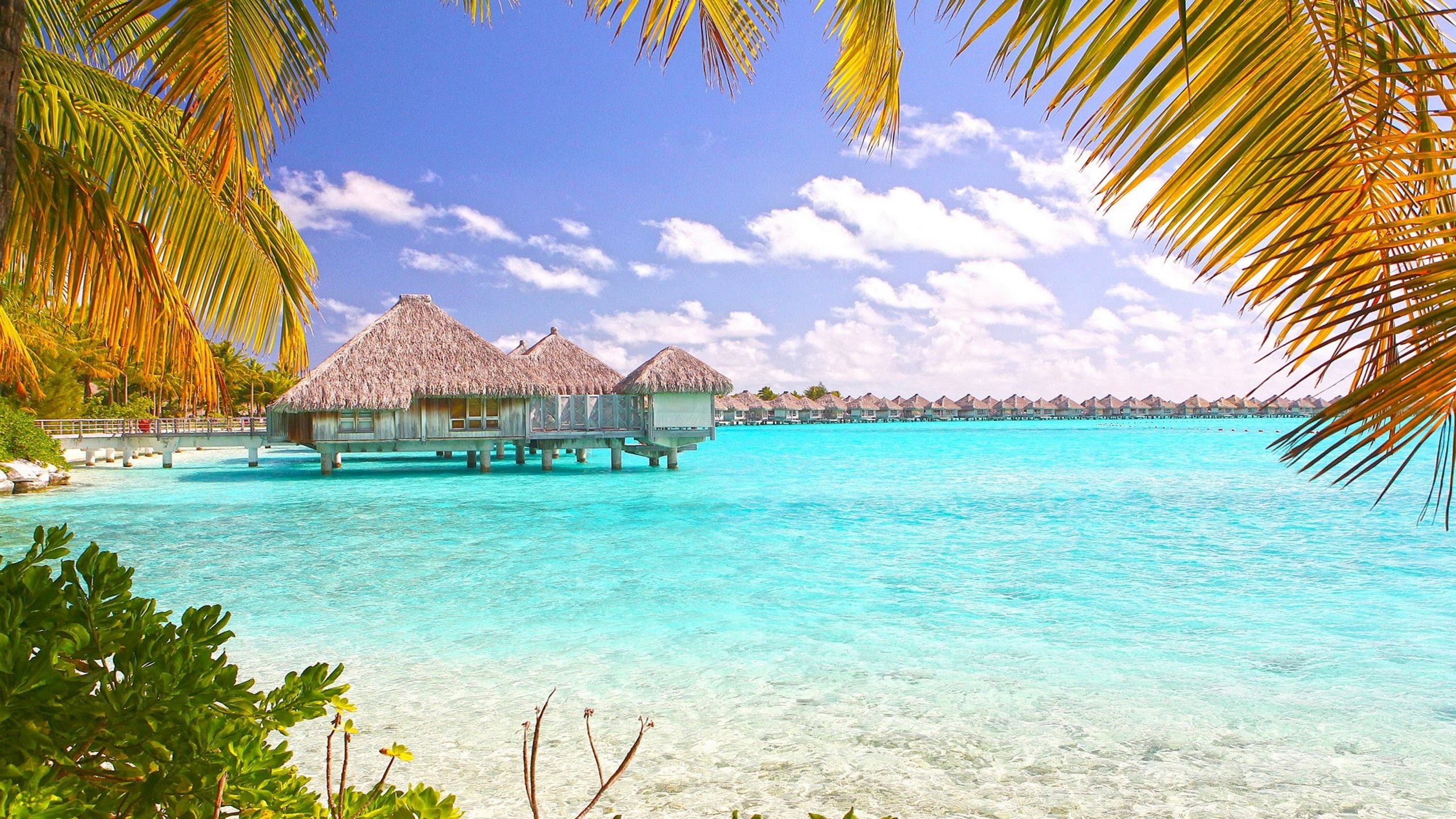 Bora Bora, Bungalow sull'acqua, Palme, Laguna, 2K, sfondo per portatile