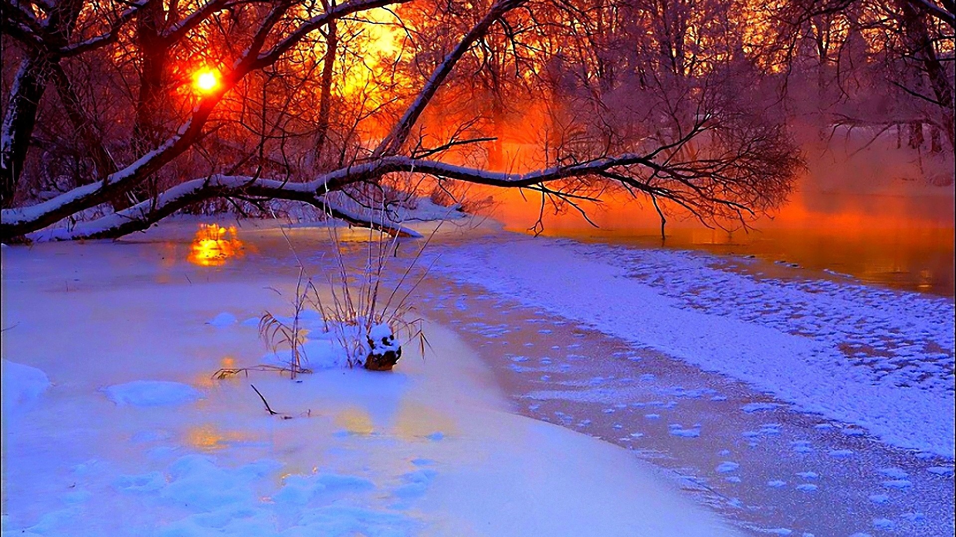 Fiume innevato, Tramonto, Alberi, Inverno, Full HD 1080p, sfondo desktop