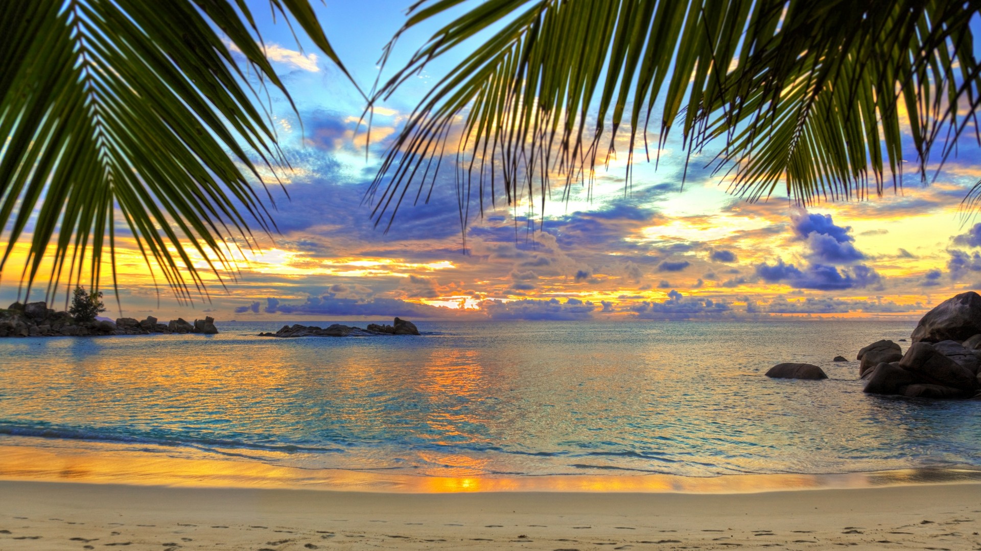 Tramonto, Palme, Rocce, Mare, Full HD, sfondo per PC