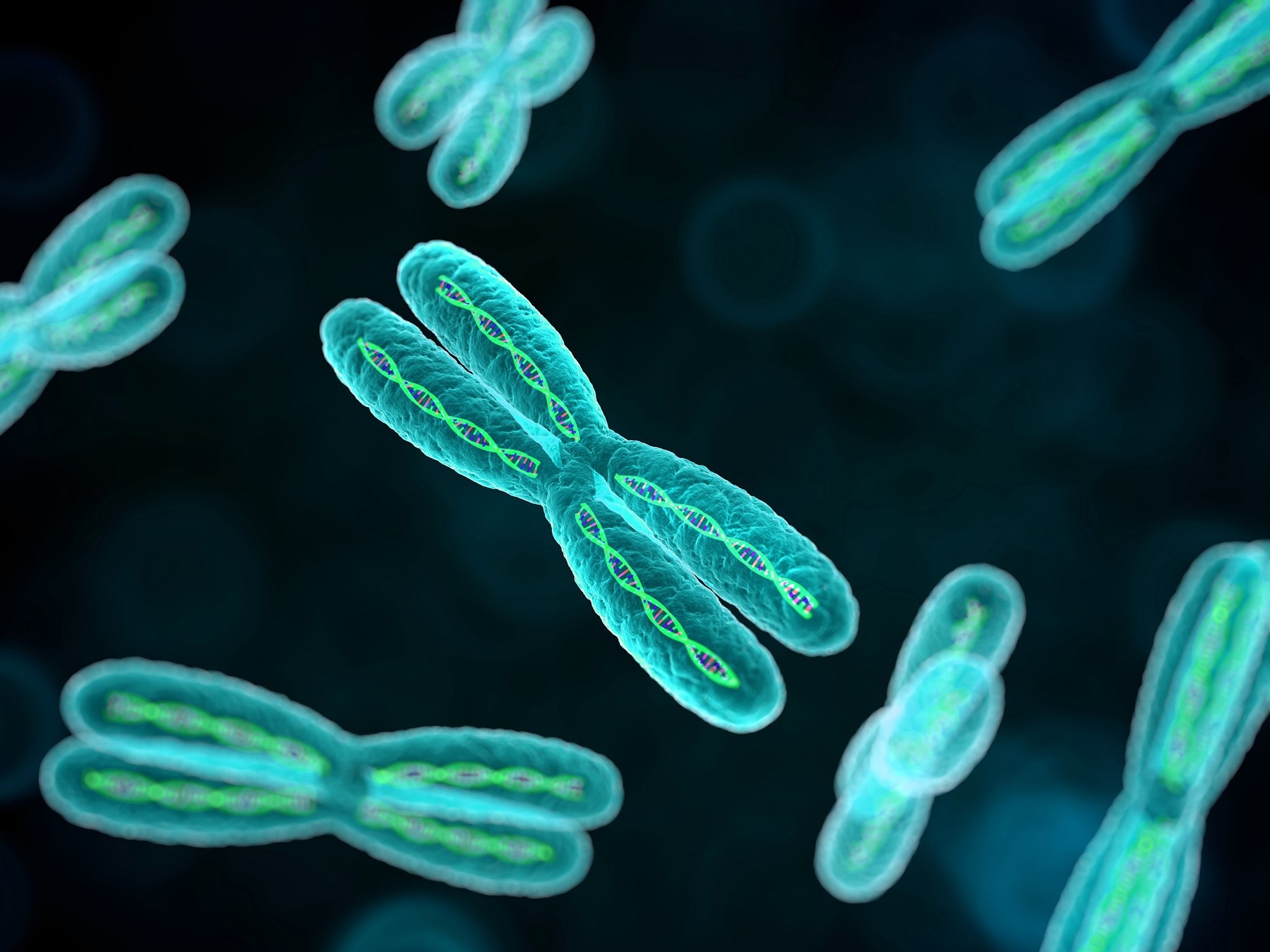 Cromosomi, Microscopia, Turchese, Full HD, sfondo per iPad e tablet