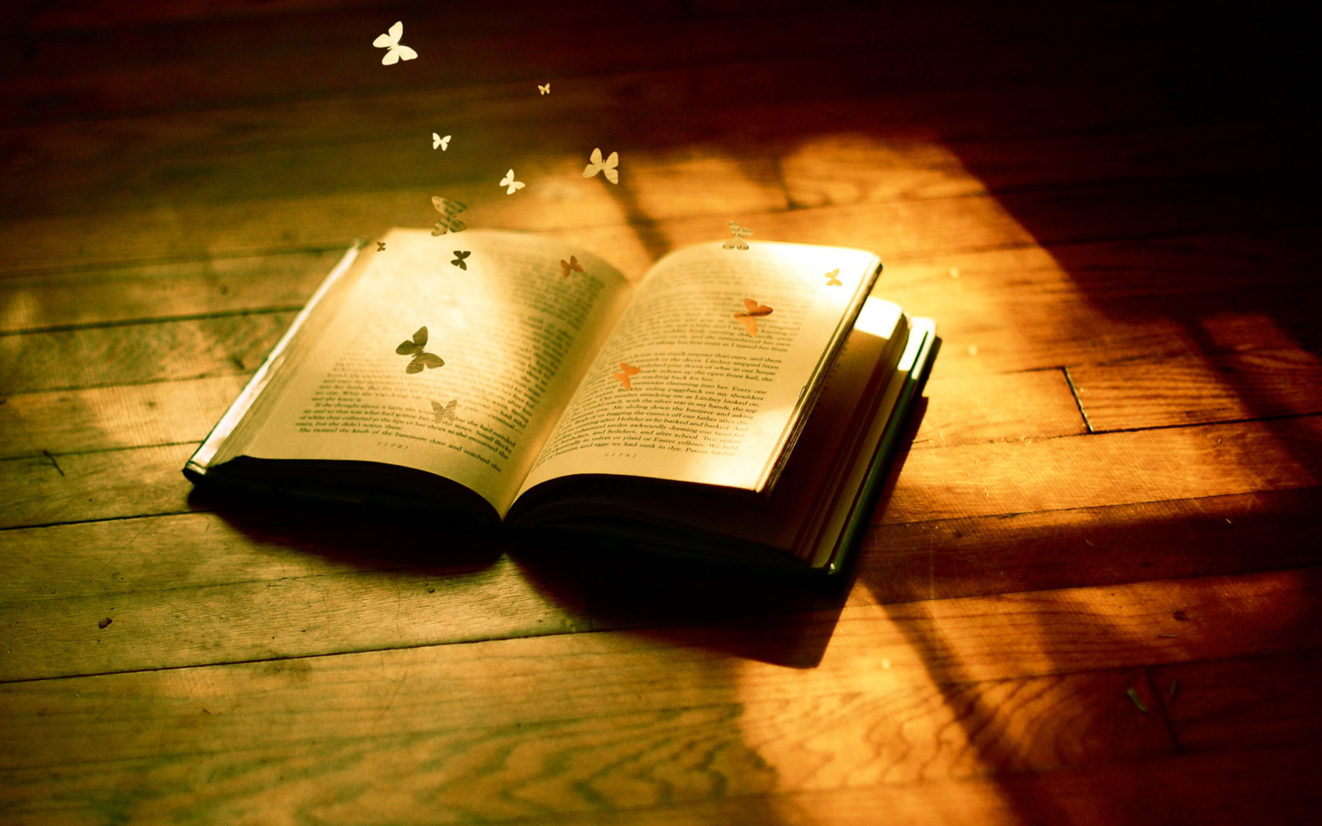 Libro aperto, Farfalle, Luce del sole, Pavimento in legno, 1920x1200, immagine di sfondo