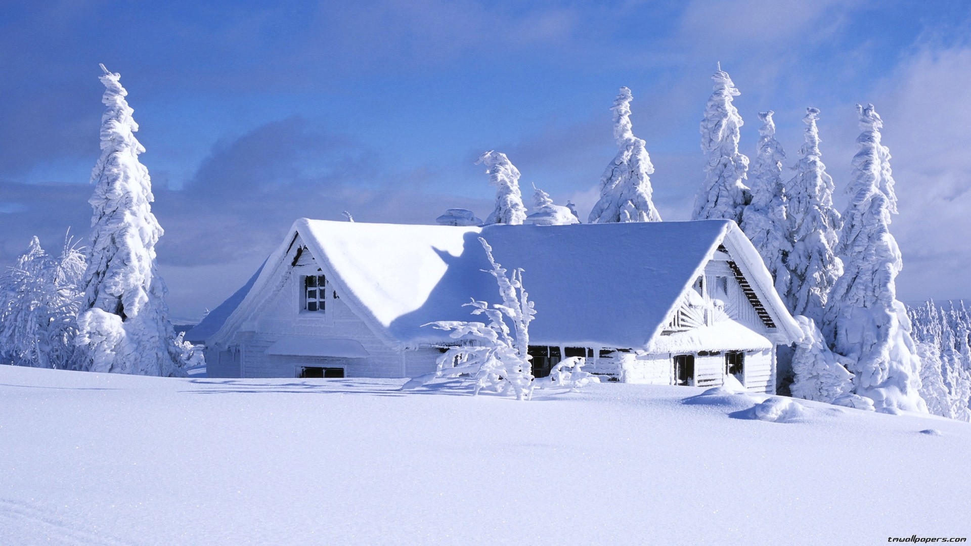 Casa innevata, Abeti, Neve, Cielo azzurro, Full HD, wallpaper per computer