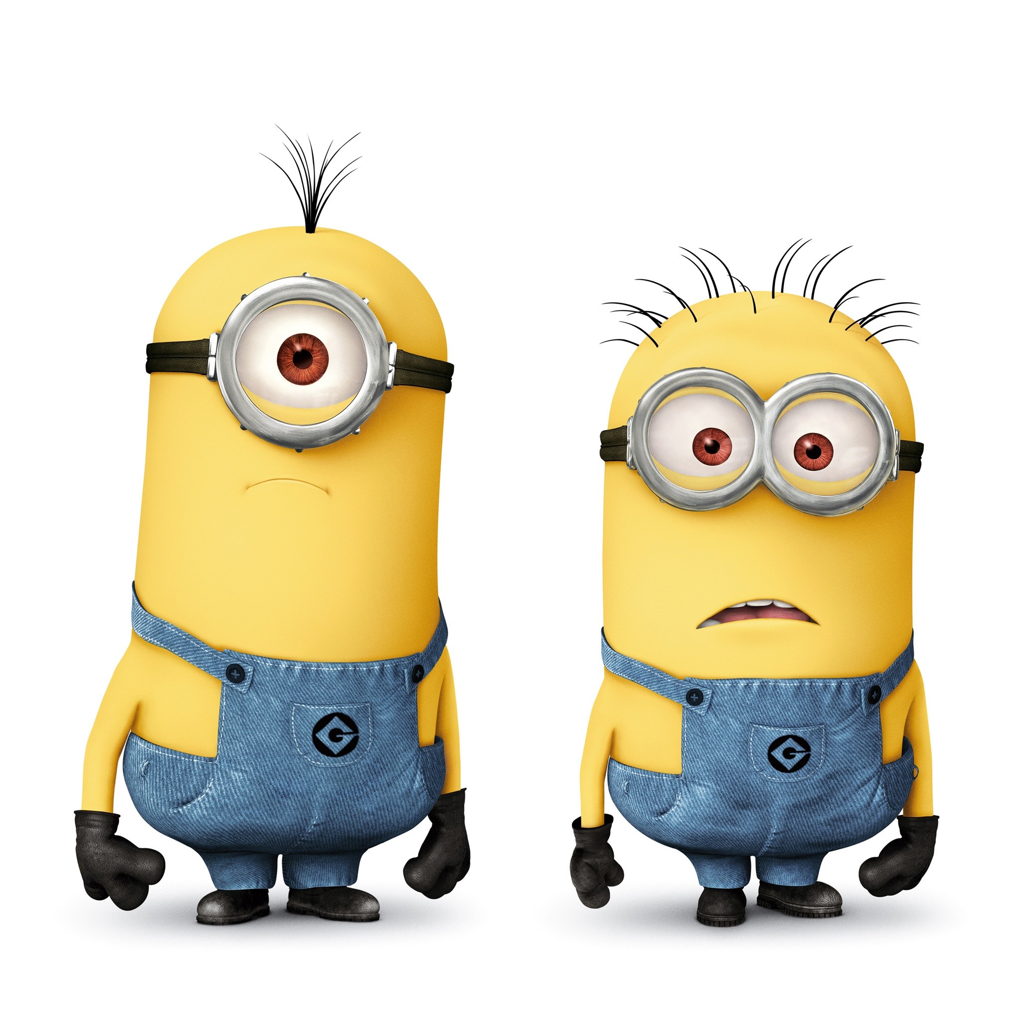 Stuart, Minion, Coppia, Sfondo bianco, Full HD, schermata di blocco iPad