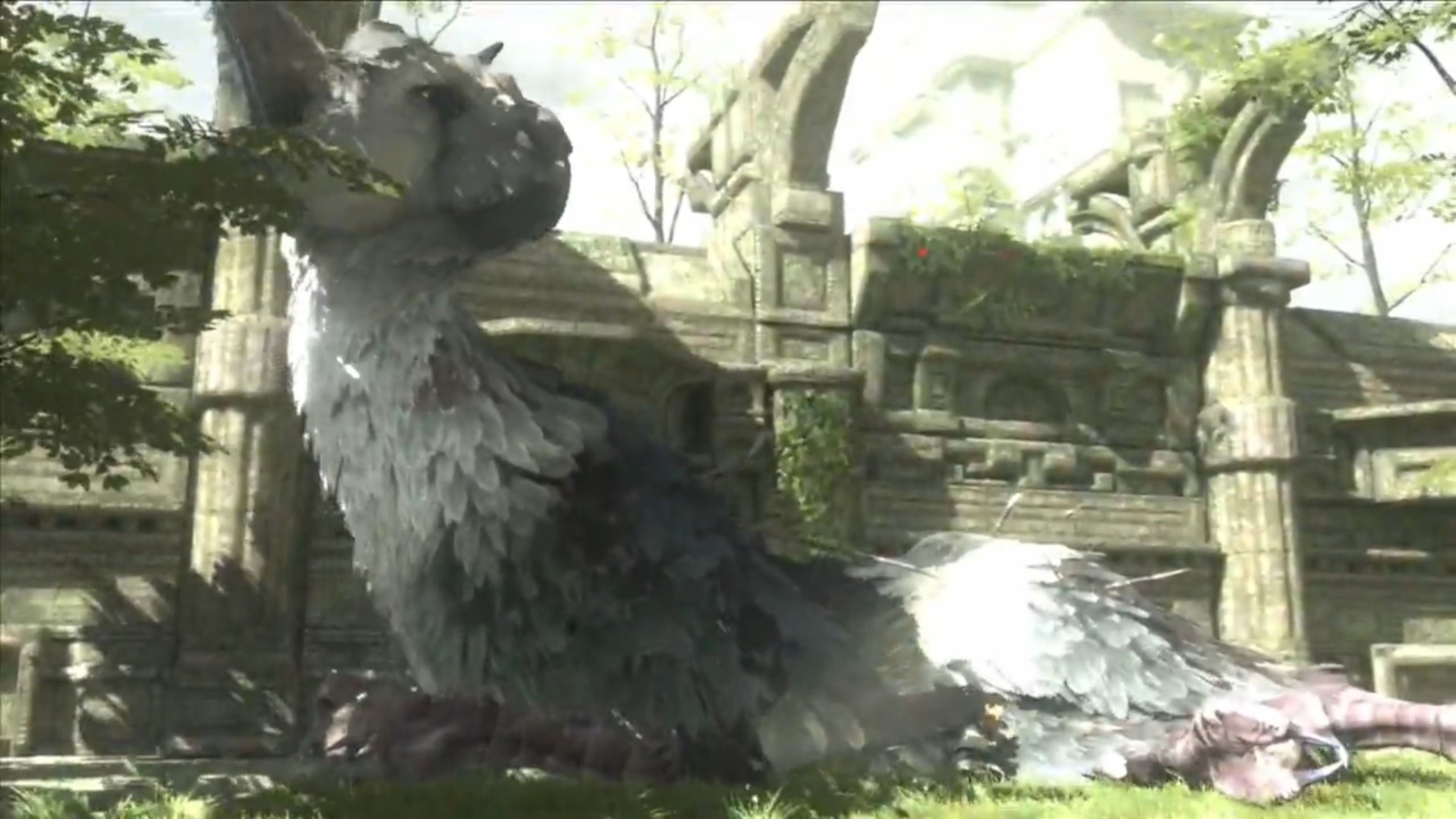 Trico, The Last Guardian, Rovine, Vegetazione, 4K, sfondo desktop