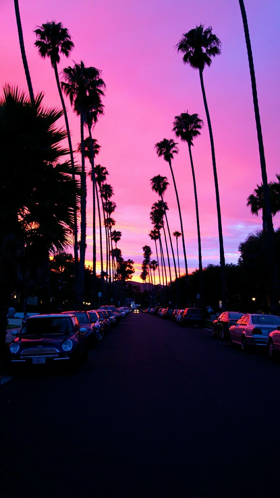 Palme, Los Angeles, Tramonto rosa, Strada, sfondo iPhone